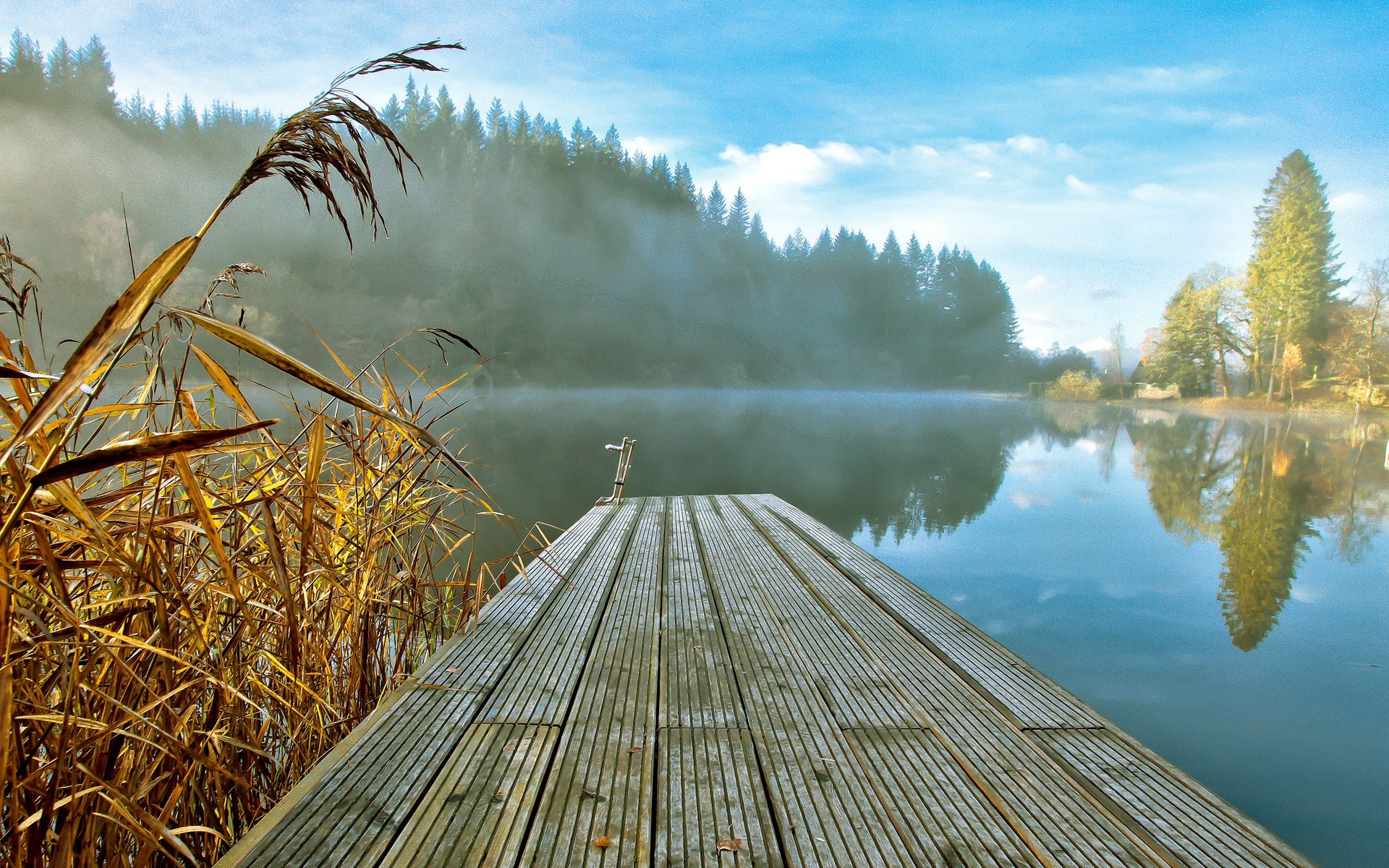 Wooden dock on a misty lake with reeds HD Wallpaper