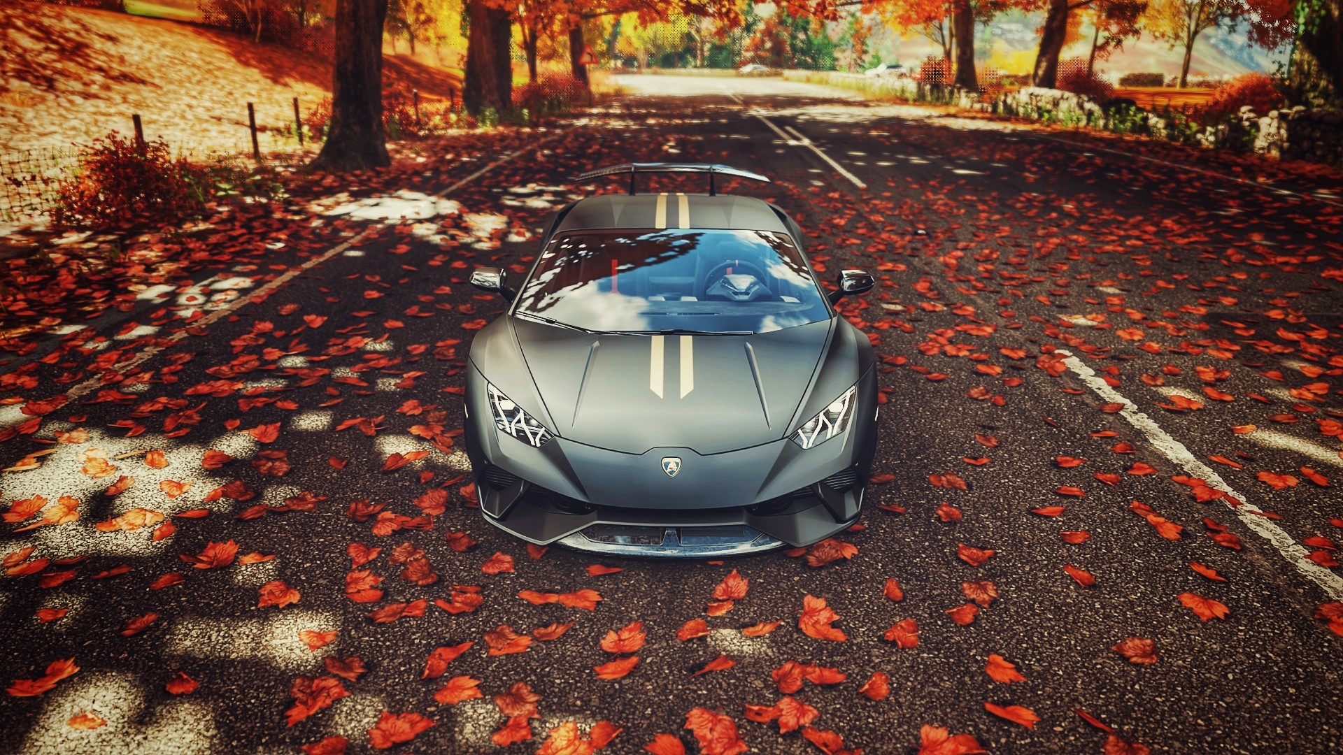 Lamborghini Huracan Performante on a Fall Road HD Wallpaper