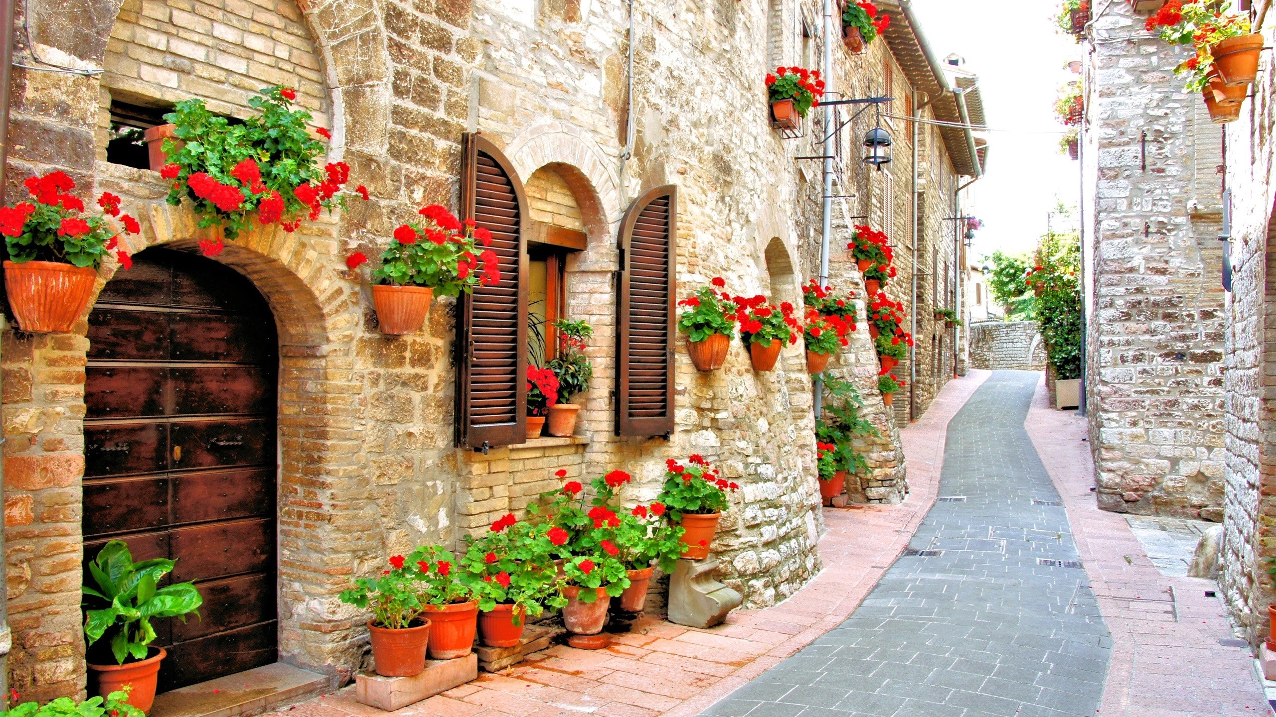Narrow Italian street with stone buildings and red flowers HD Wallpaper