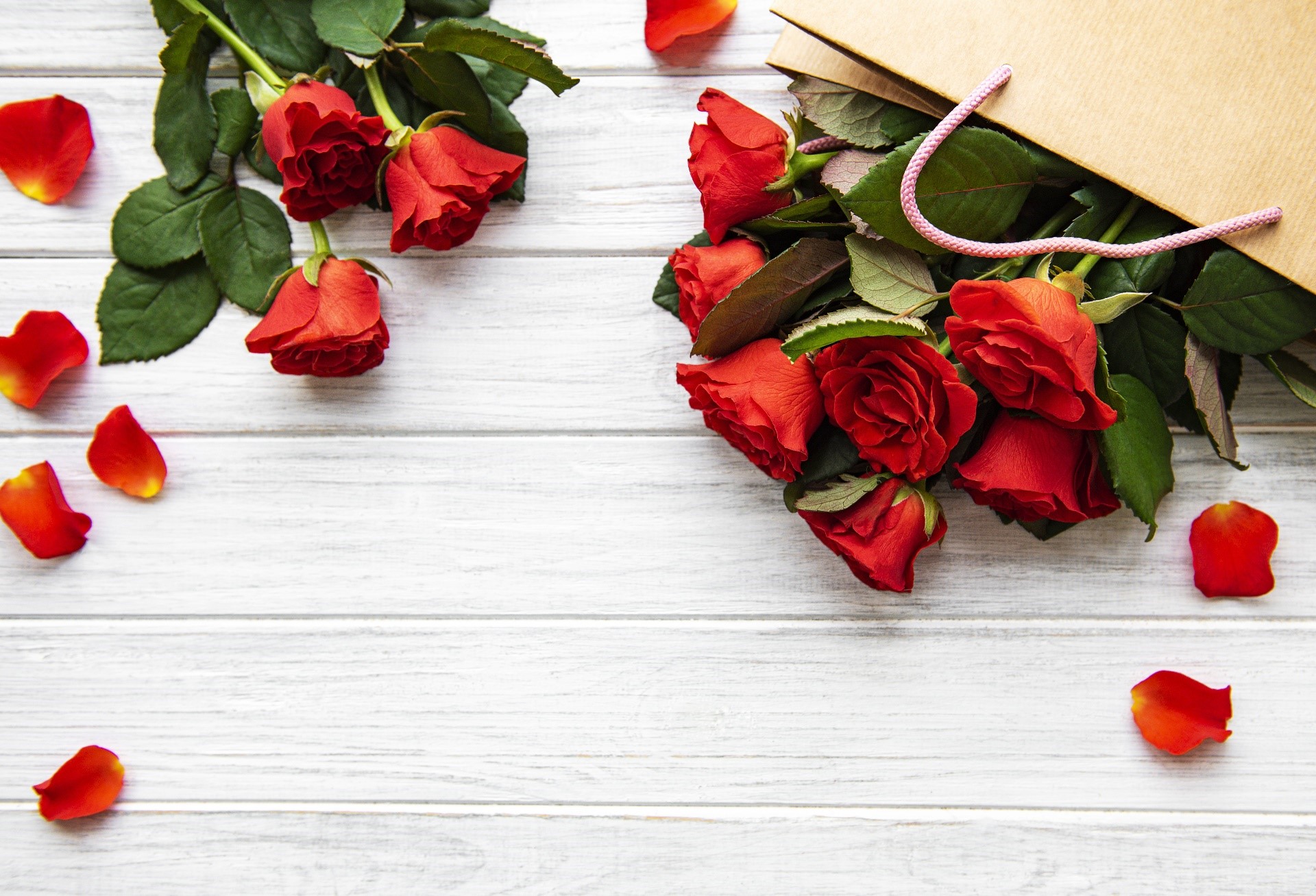 Red roses and petals on a wooden surface HD Wallpaper