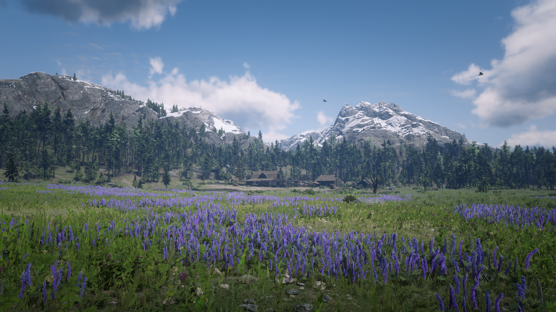 Red Dead Redemption 2 landscape with mountains and flowers HD Wallpaper