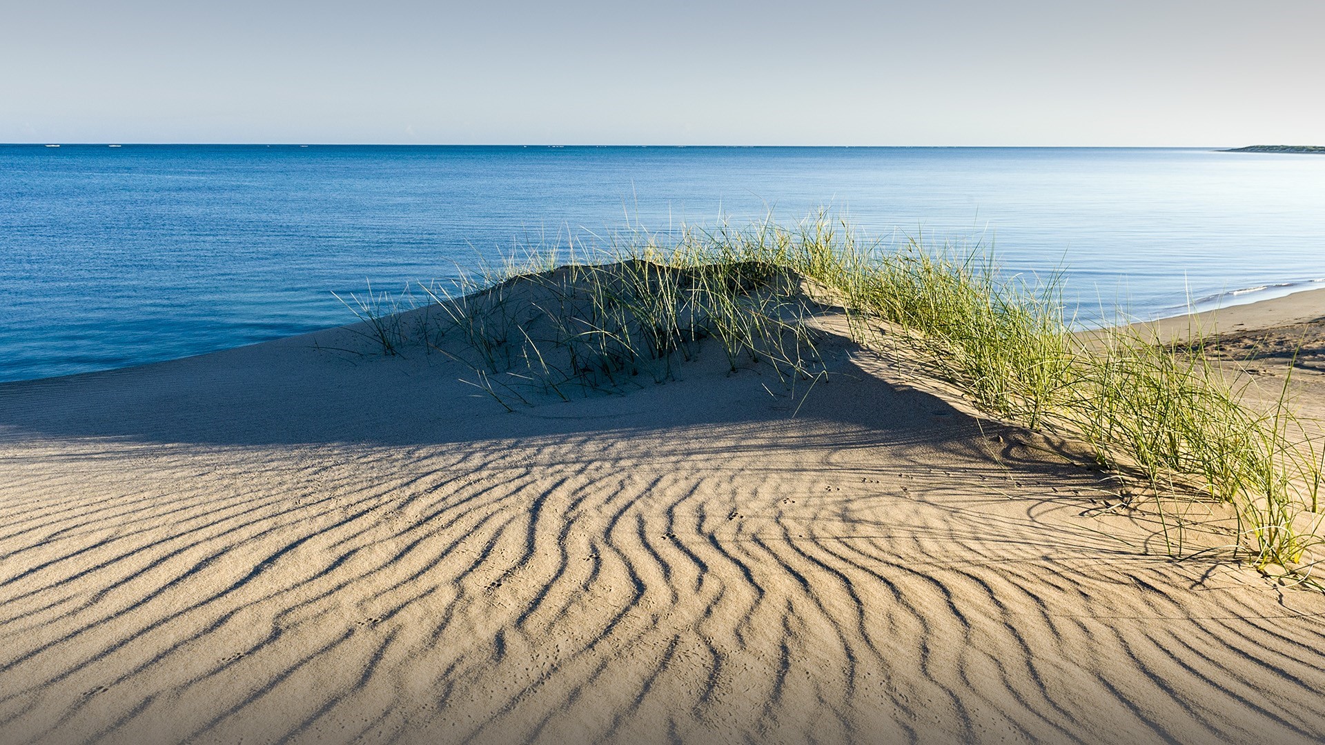 Sand dunes with grass and the sea HD Wallpaper