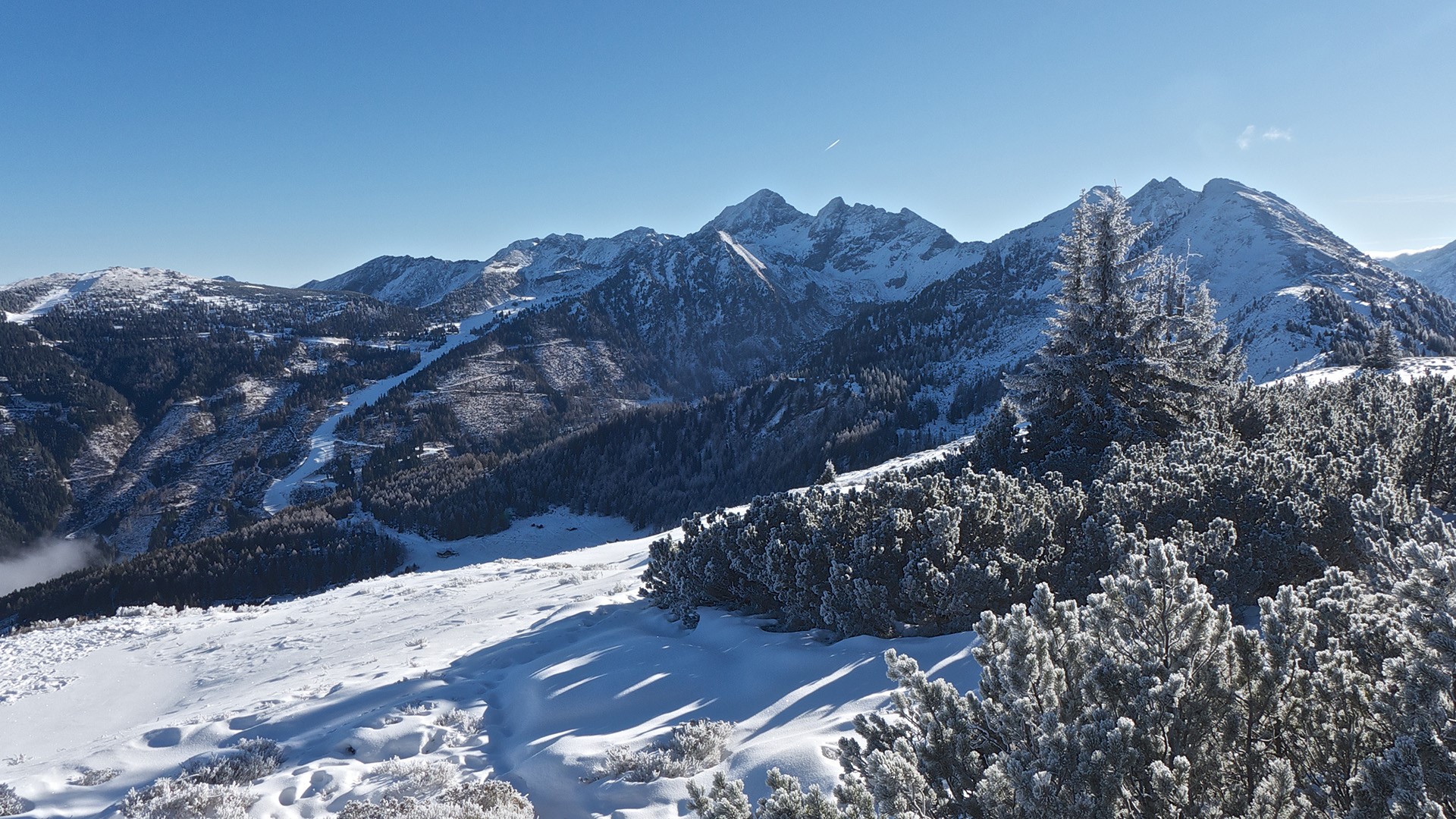 Snowy mountains and forest in Austria under a clear sky HD Wallpaper