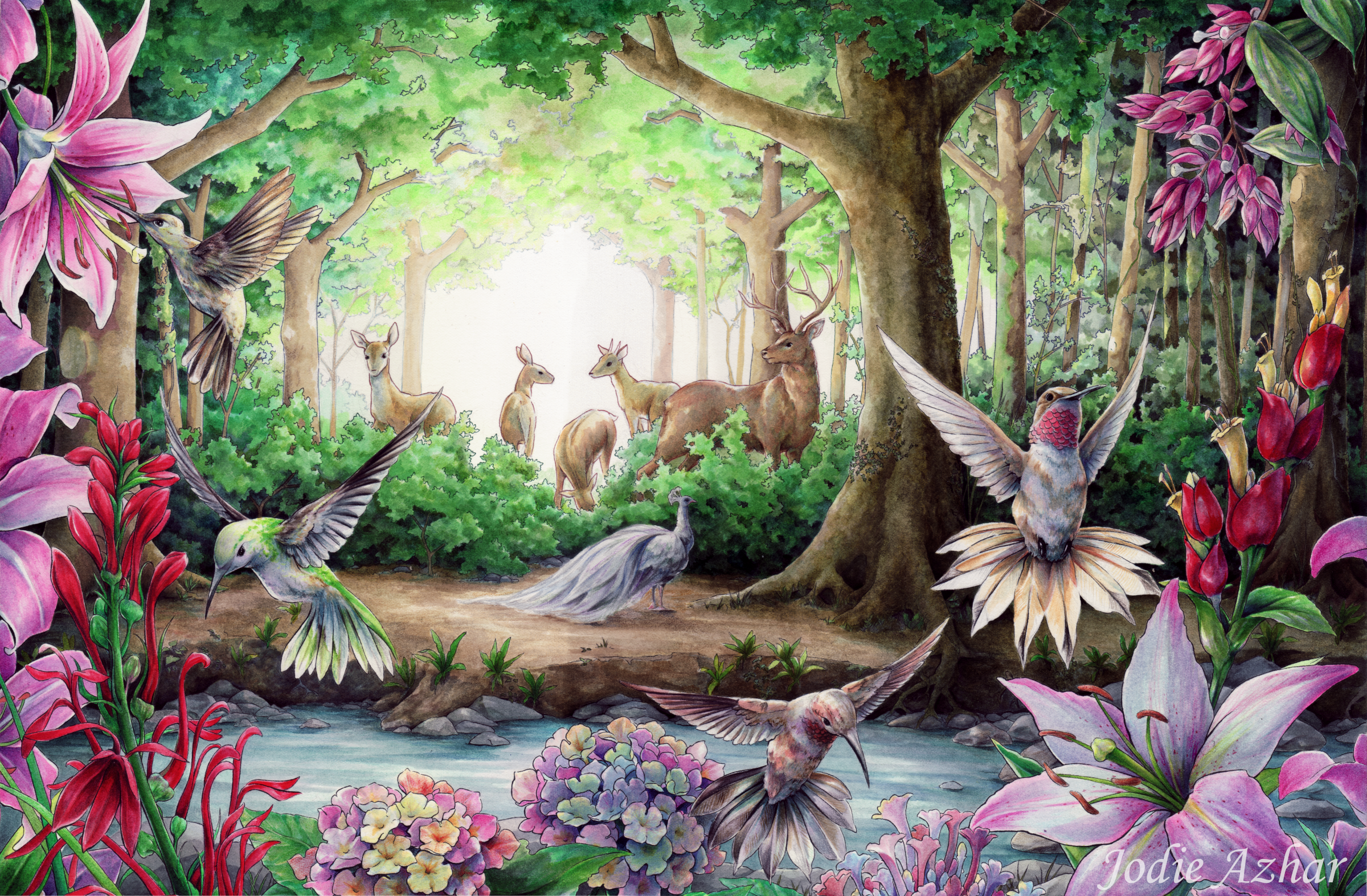 Forest scene with deer, peacocks, and hummingbirds HD Wallpaper