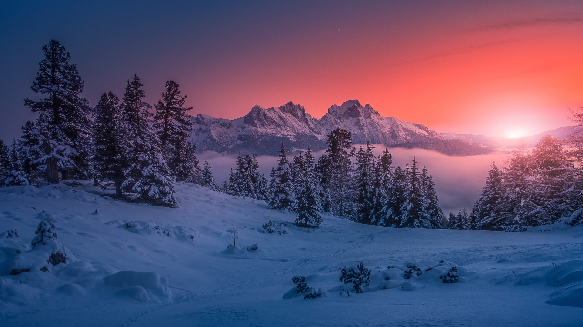 Snowy mountain landscape at sunset with pine trees HD Wallpaper