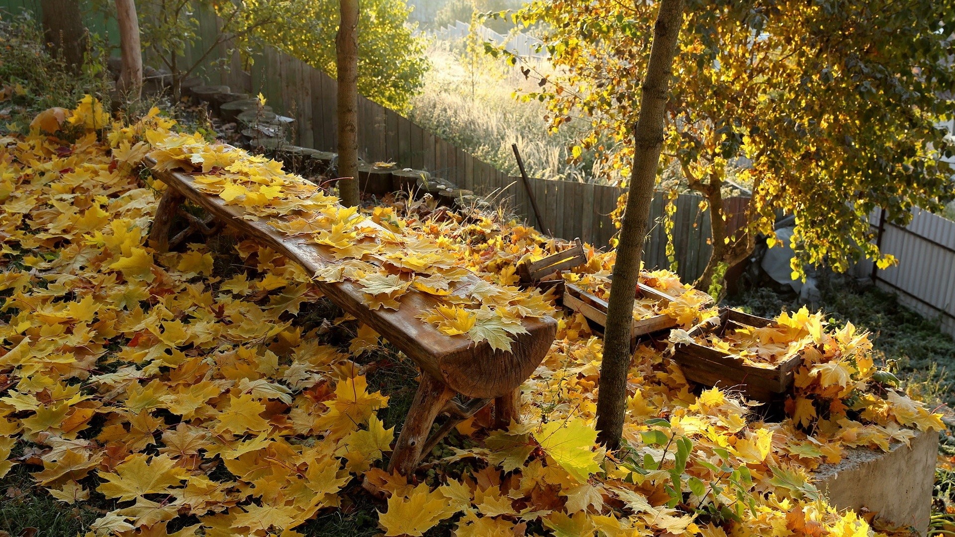 Wooden bench covered in autumn leaves with trees and fence HD Wallpaper