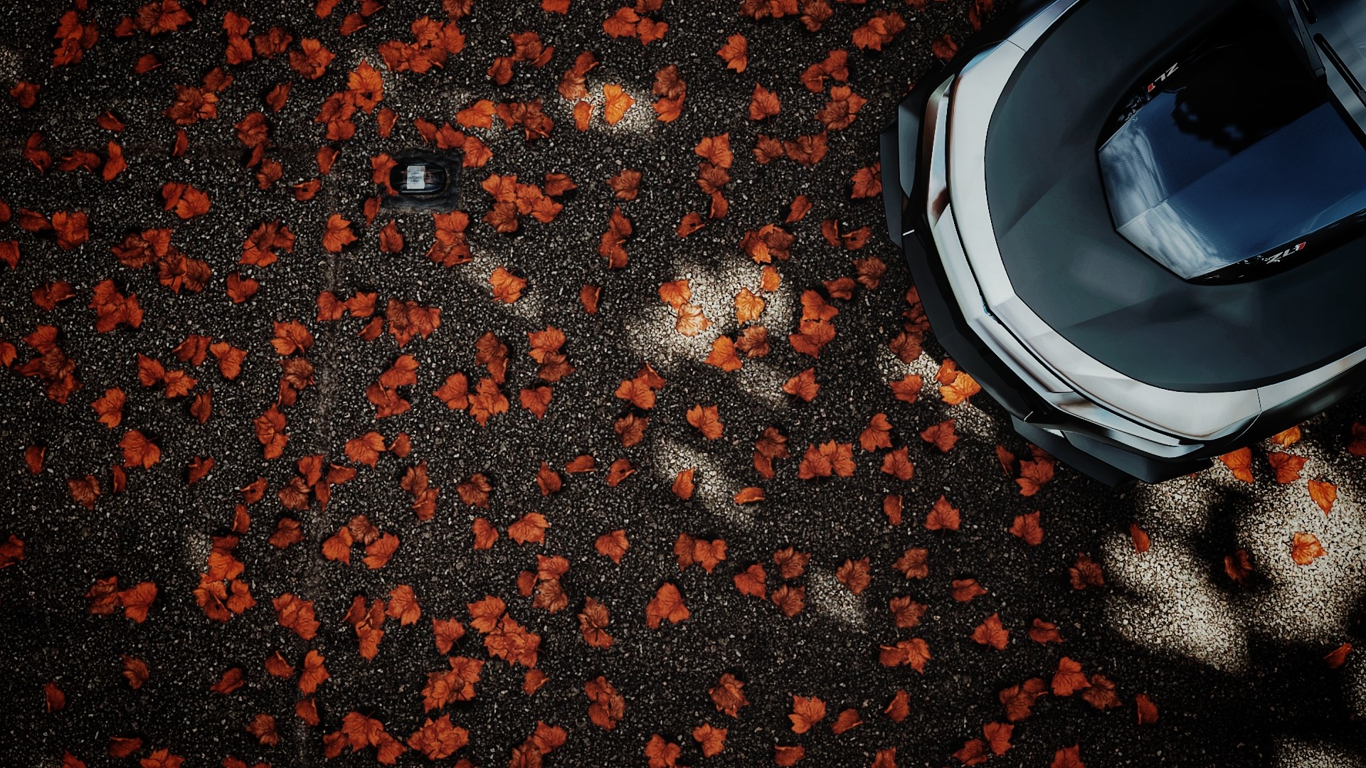 Chevrolet Camaro ZL1 1LE on asphalt with fallen leaves HD Wallpaper