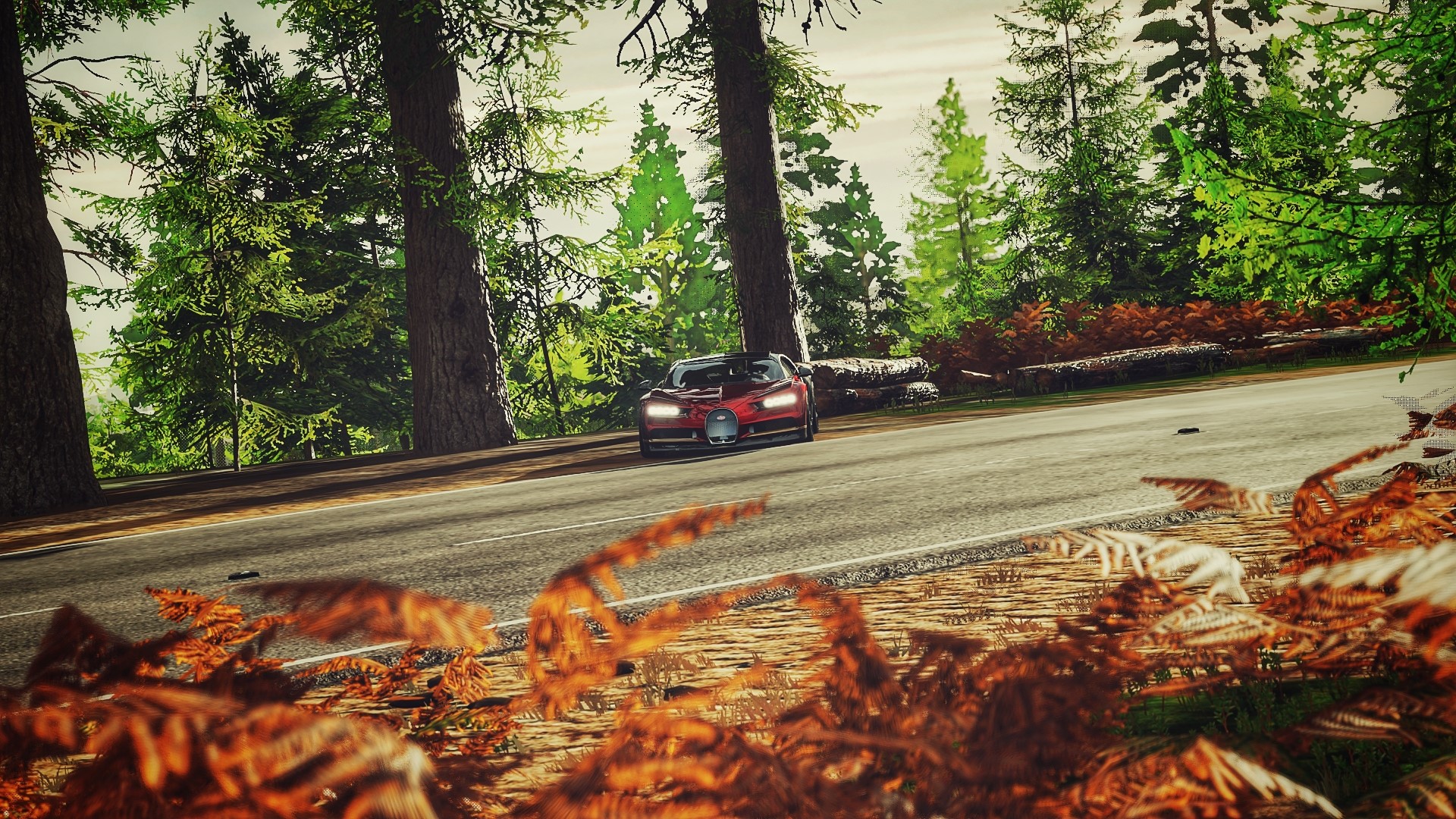 Bugatti Chiron driving on a road in a forest HD Wallpaper