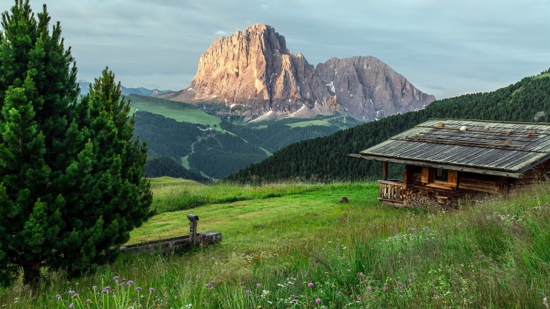 Wooden cabin in the mountains with pine trees and a large peak HD Wallpaper