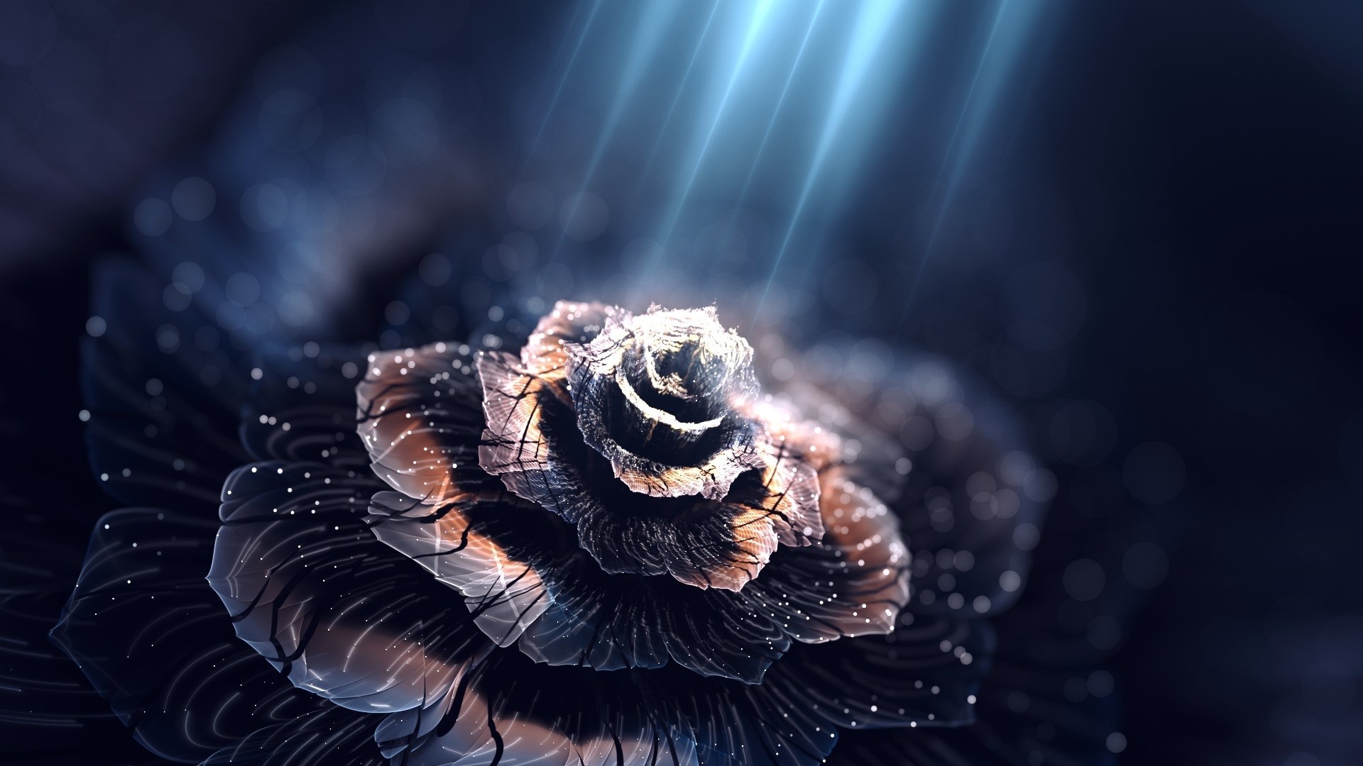 Abstract fractal flower with light rays HD Wallpaper