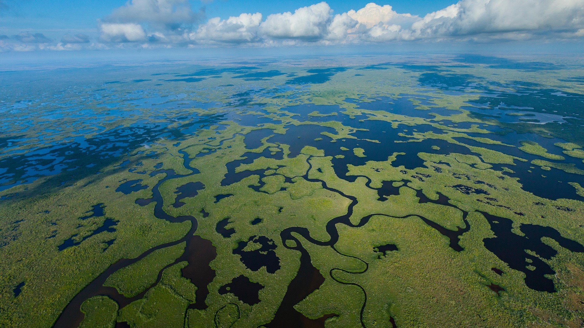 Aerial view of Everglades National Park wetland landscape HD Wallpaper