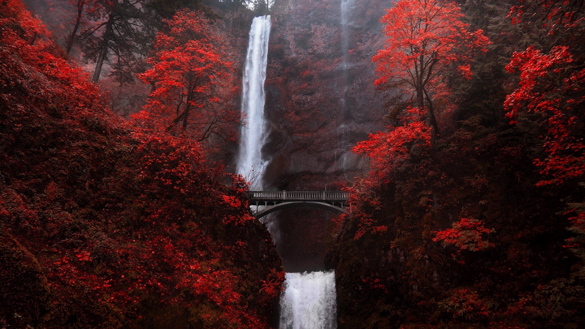 Multnomah Falls in Oregon during Autumn HD Wallpaper