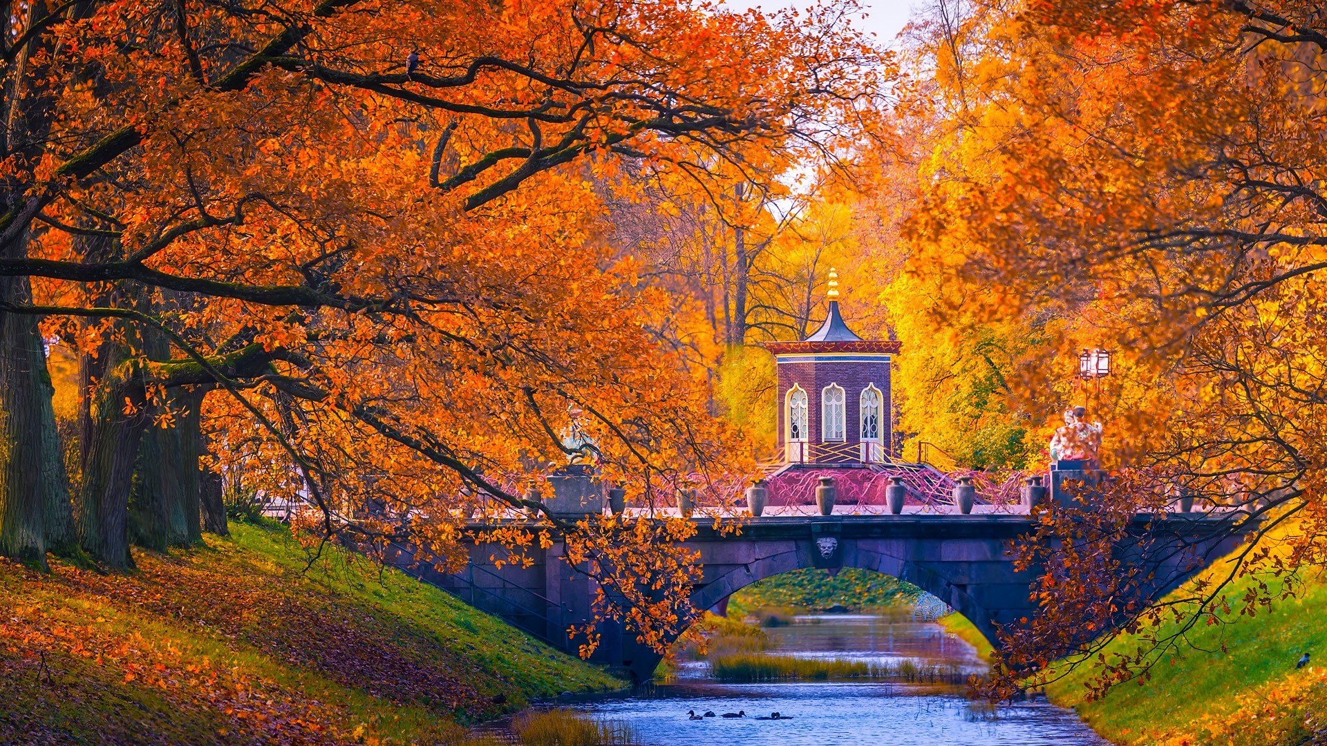 Autumn bridge with pavilion over river in St. Petersburg, Russia HD Wallpaper
