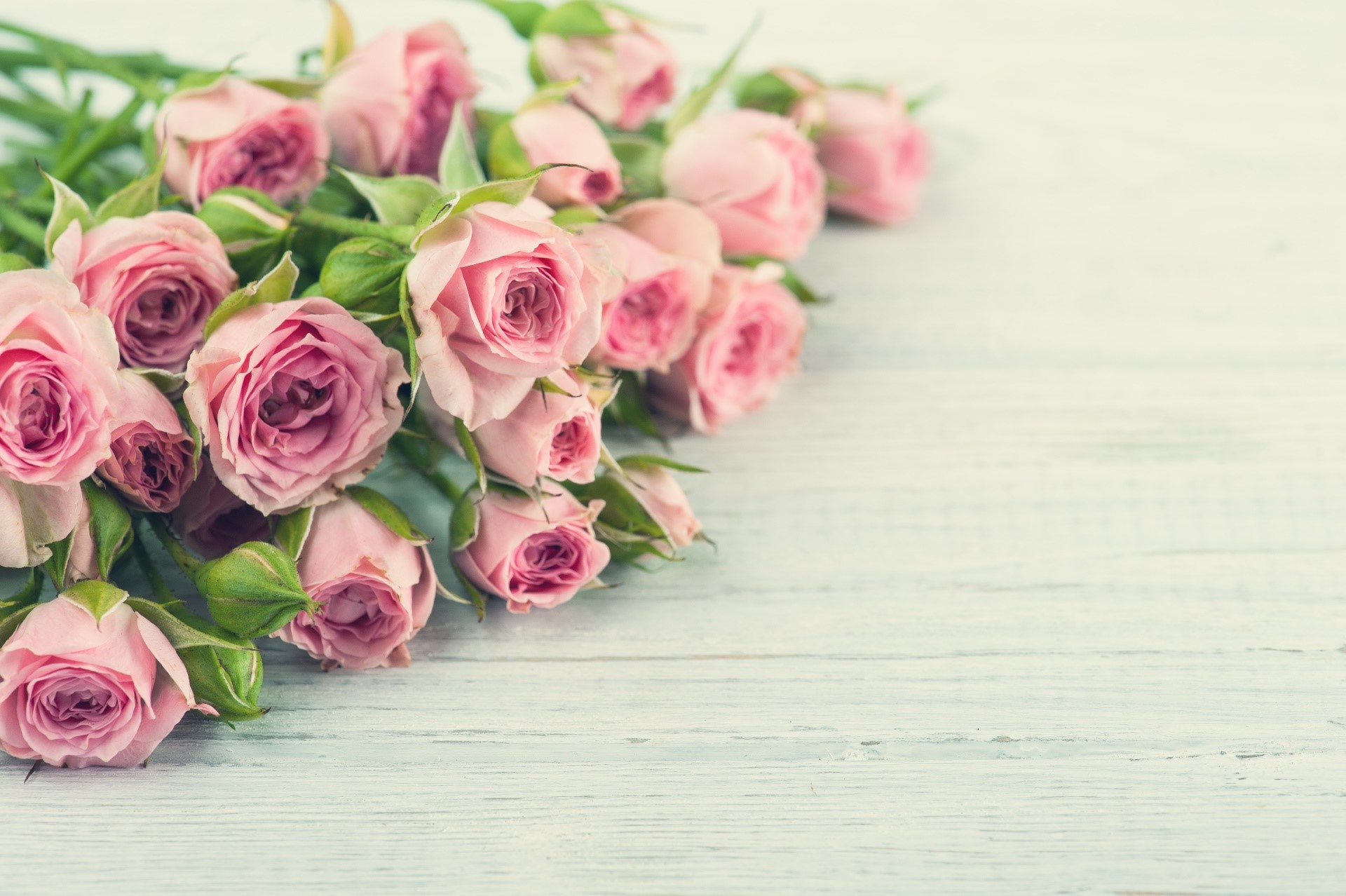 Bouquet of pink roses on a light wooden surface HD Wallpaper