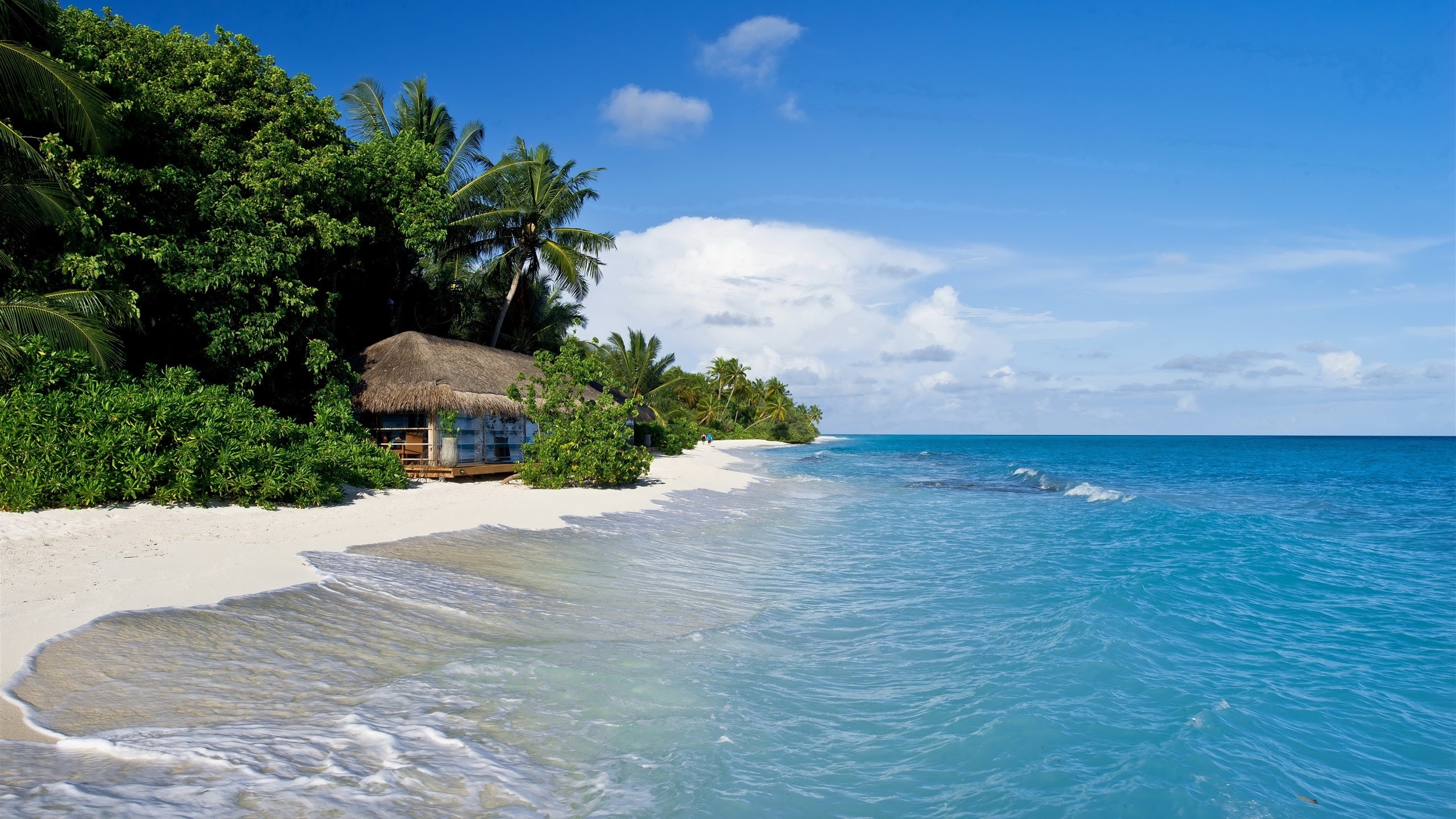 Tropical beach with hut and turquoise ocean HD Wallpaper