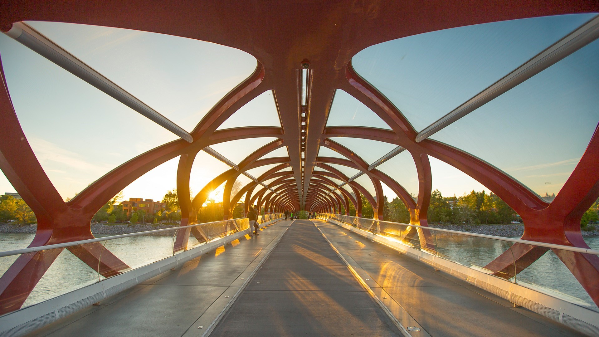 Peace Bridge over river at sunset HD Wallpaper