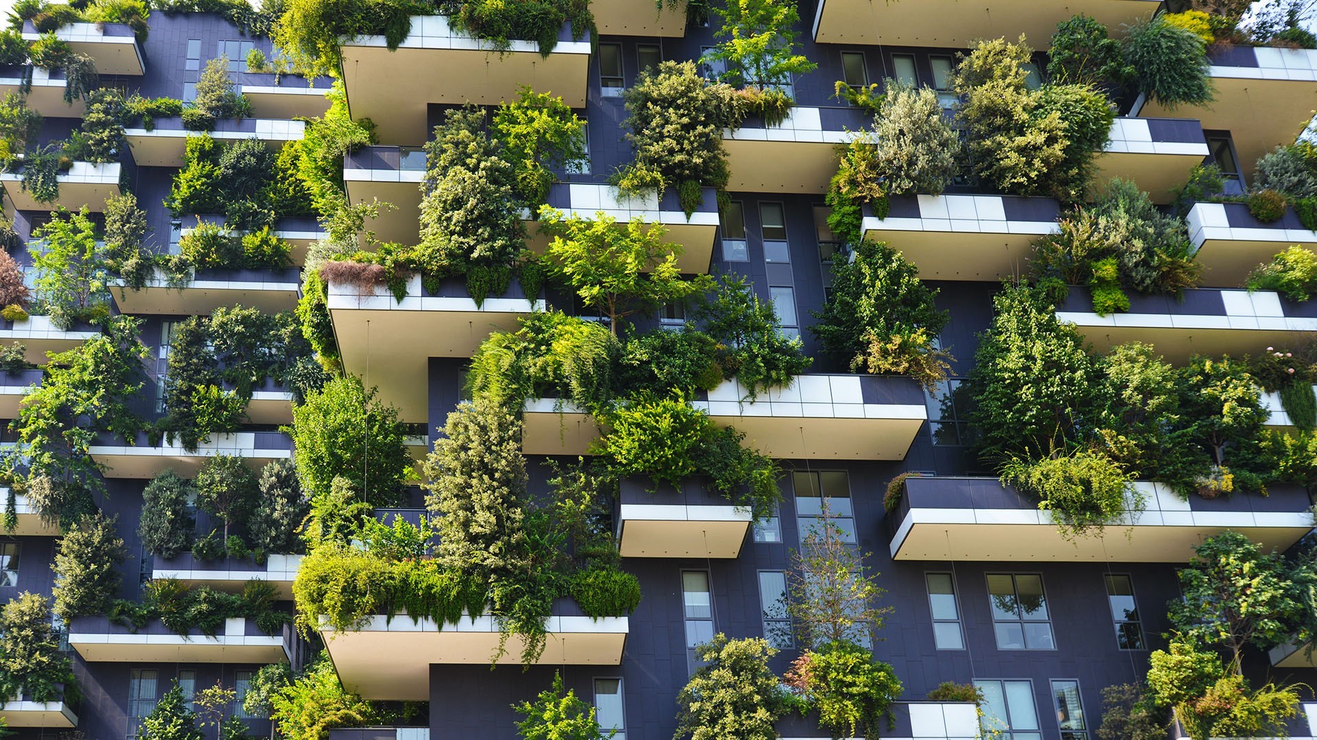Vertical forest building with abundant plants on balconies HD Wallpaper