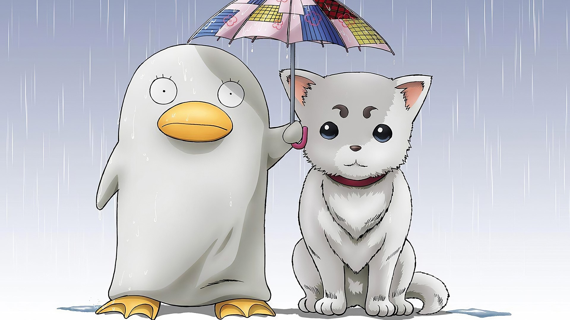Elizabeth and Sadaharu from Gintama in the rain HD Wallpaper