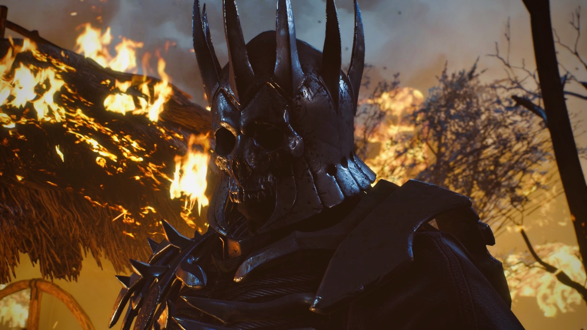 Eredin from The Witcher 3: Wild Hunt in front of a fire HD Wallpaper