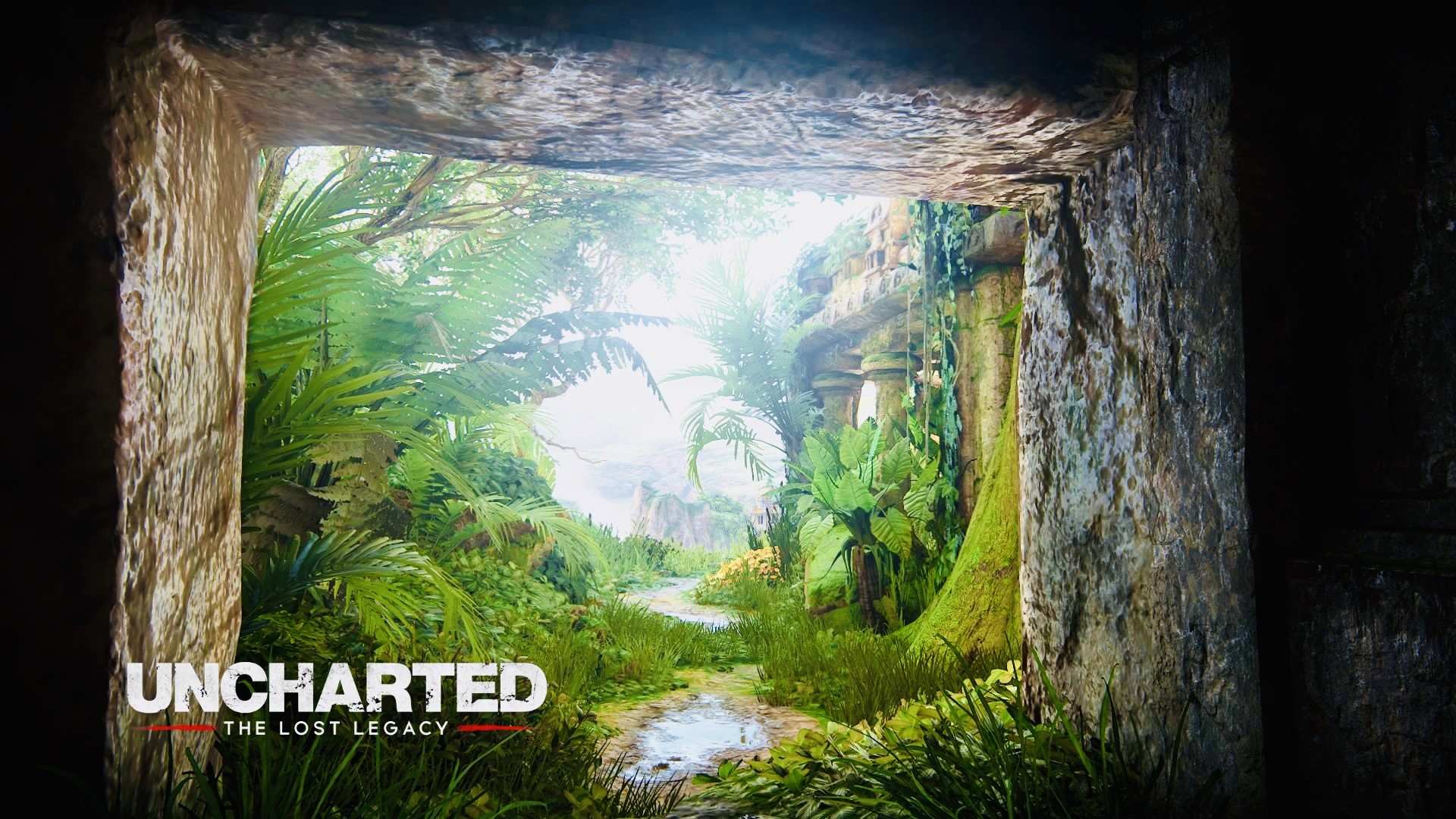 Uncharted: The Lost Legacy video game HD Wallpaper