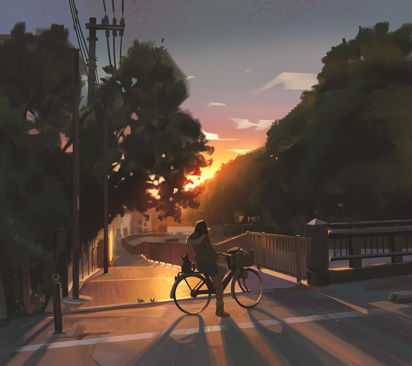 Person with bicycle and cat at sunset HD Wallpaper