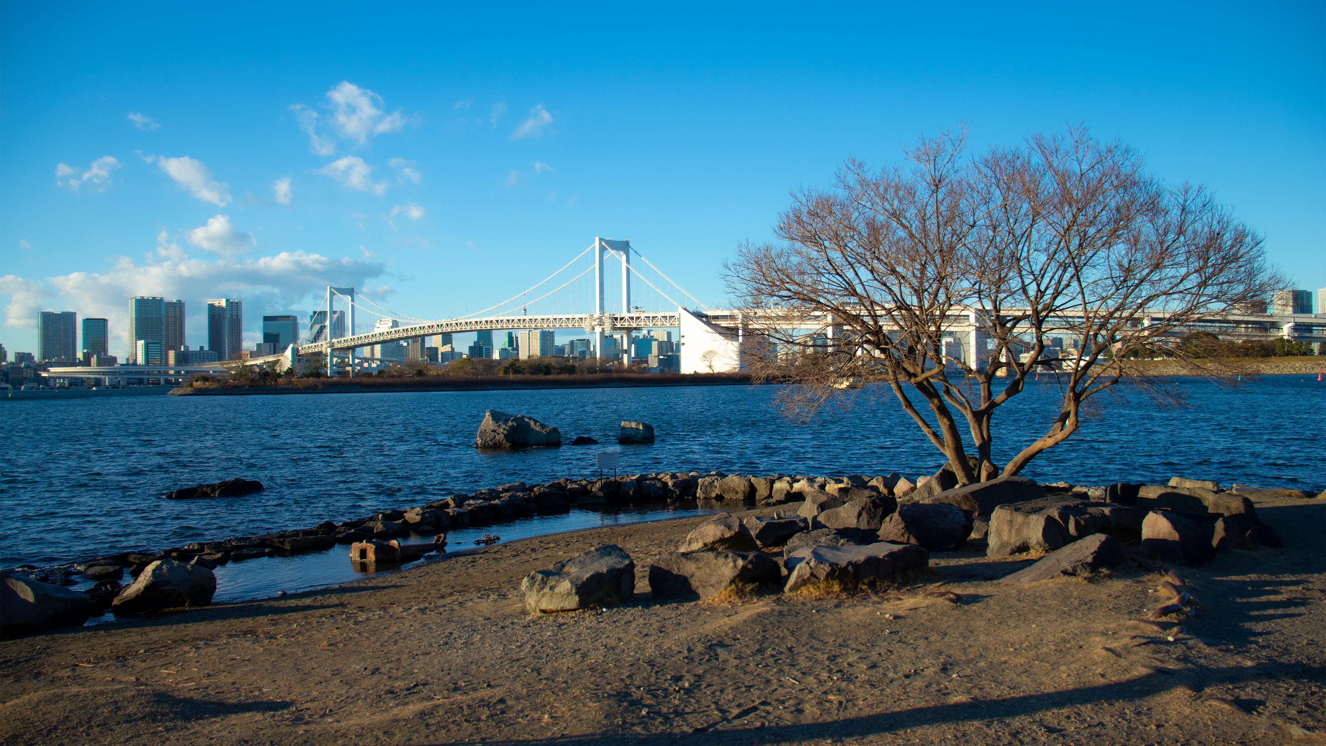 Rainbow Bridge and Tokyo skyline from Odaiba beach HD Wallpaper