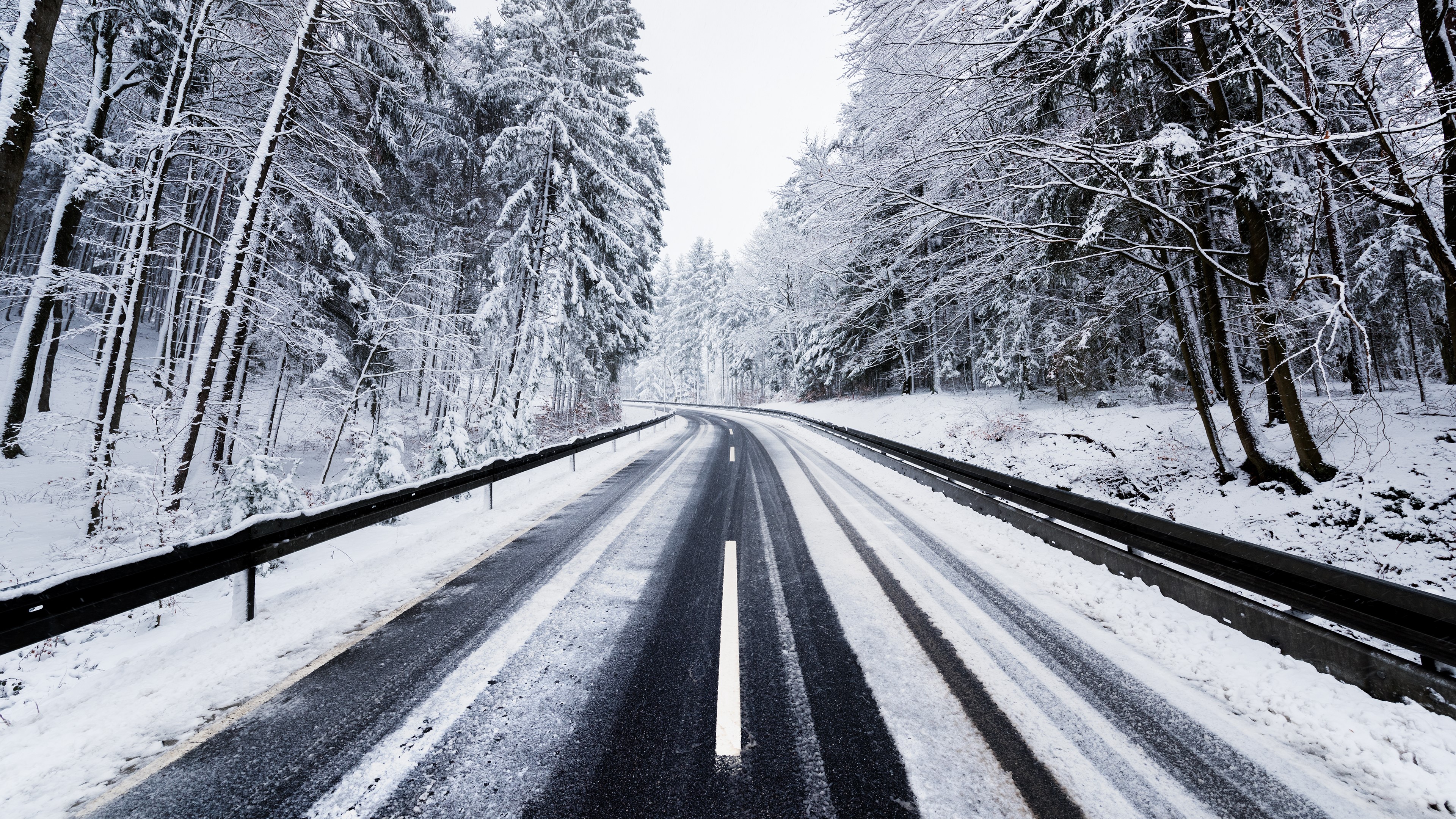 4K Winter Road Through Snowy Forest HD Wallpaper