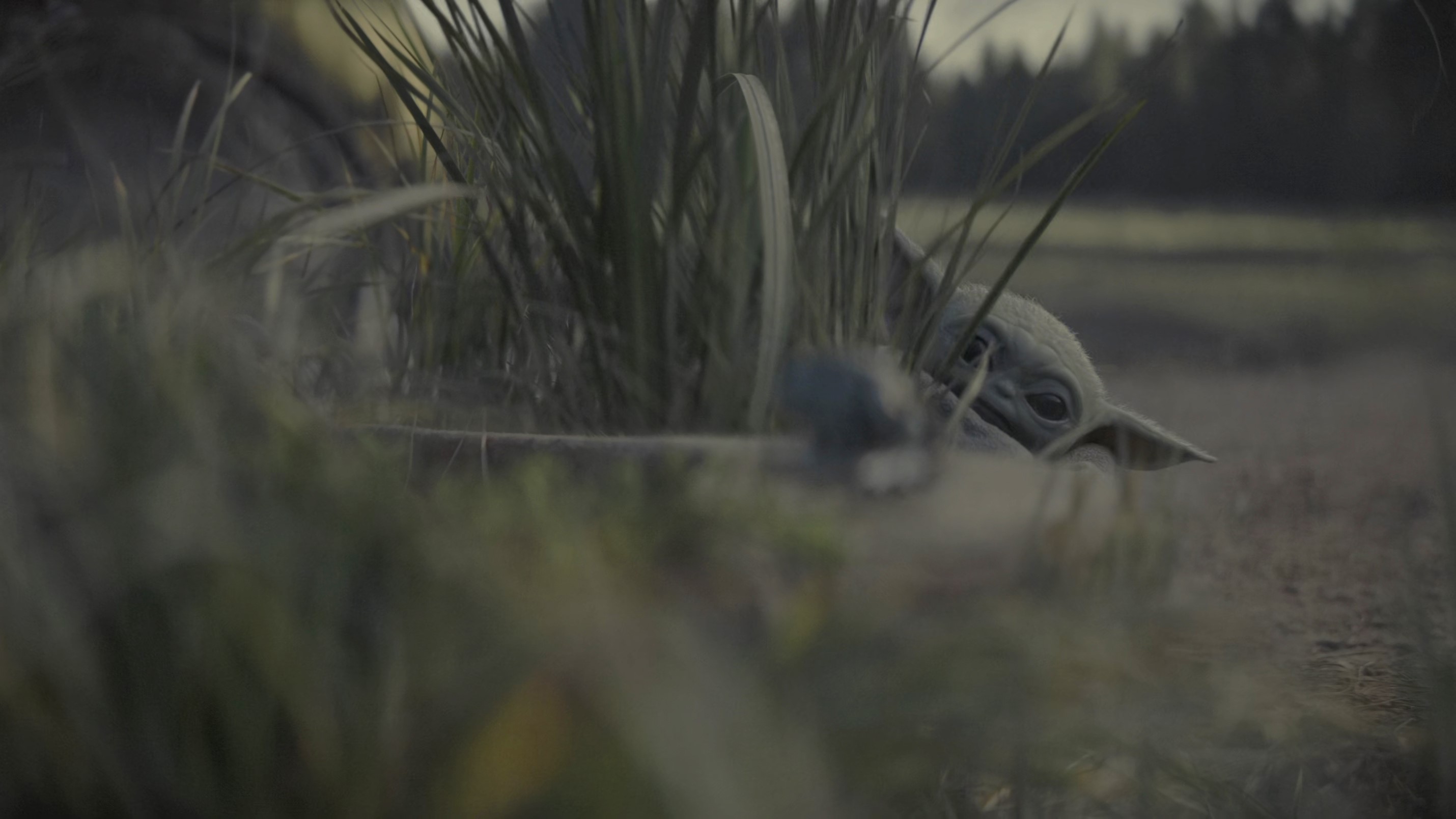 The Child from The Mandalorian hiding in grass HD Wallpaper