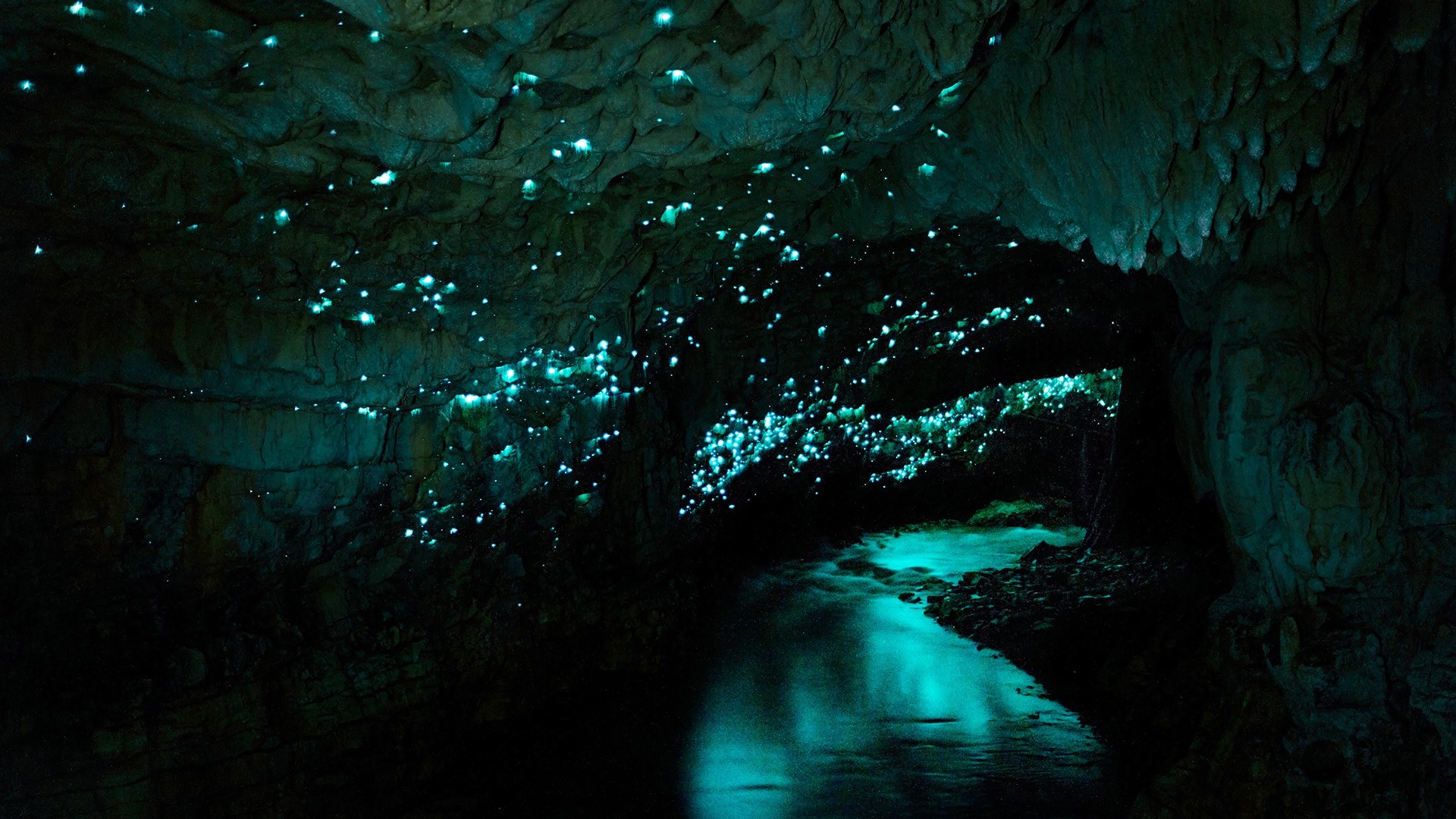 Glowworms illuminate a cave with a stream in New Zealand HD Wallpaper