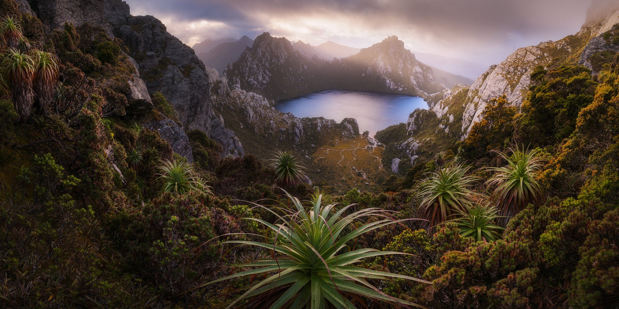 Lake in a mountain valley with plants in Tasmania, Australia HD Wallpaper