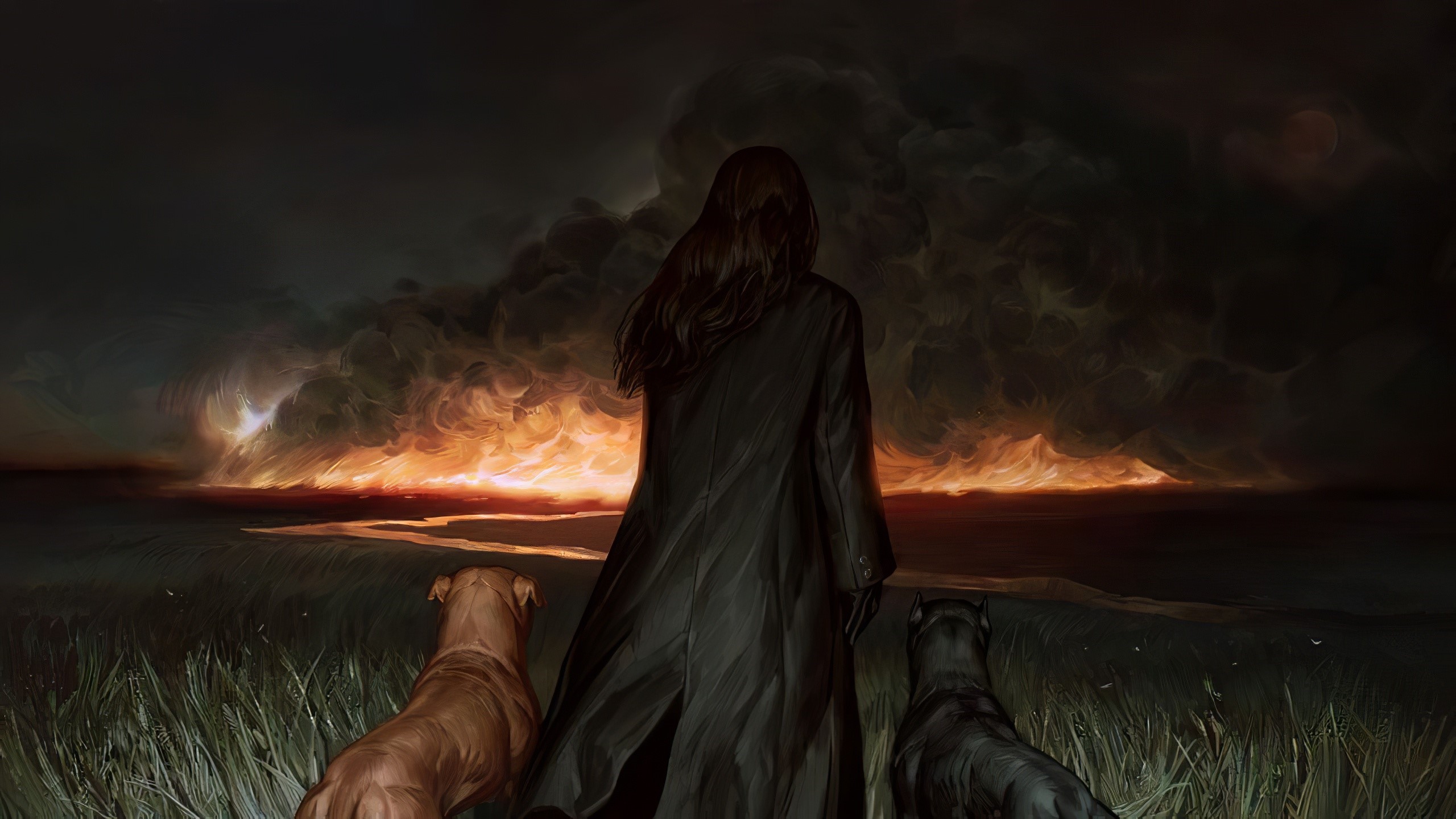 Person with dogs watching a wildfire HD Wallpaper