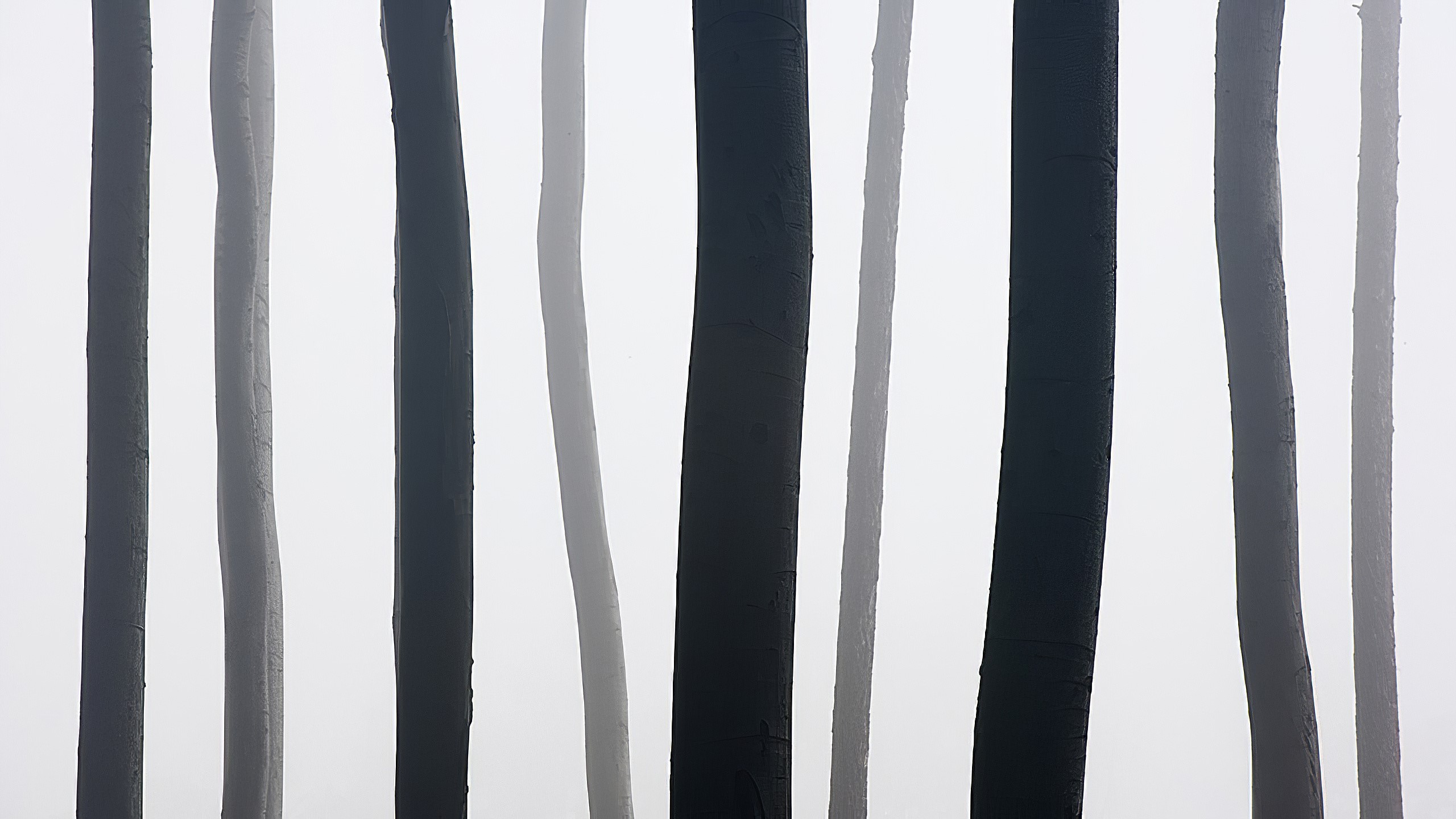 Minimalist abstract pattern of vertical dark and light stripes HD Wallpaper
