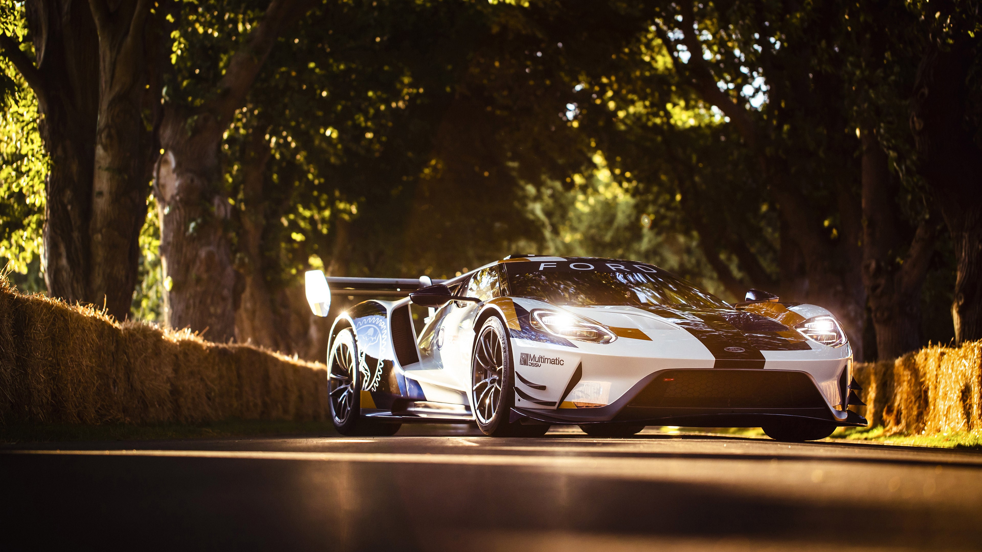 Ford GT Mk II race car on a tree-lined road HD Wallpaper