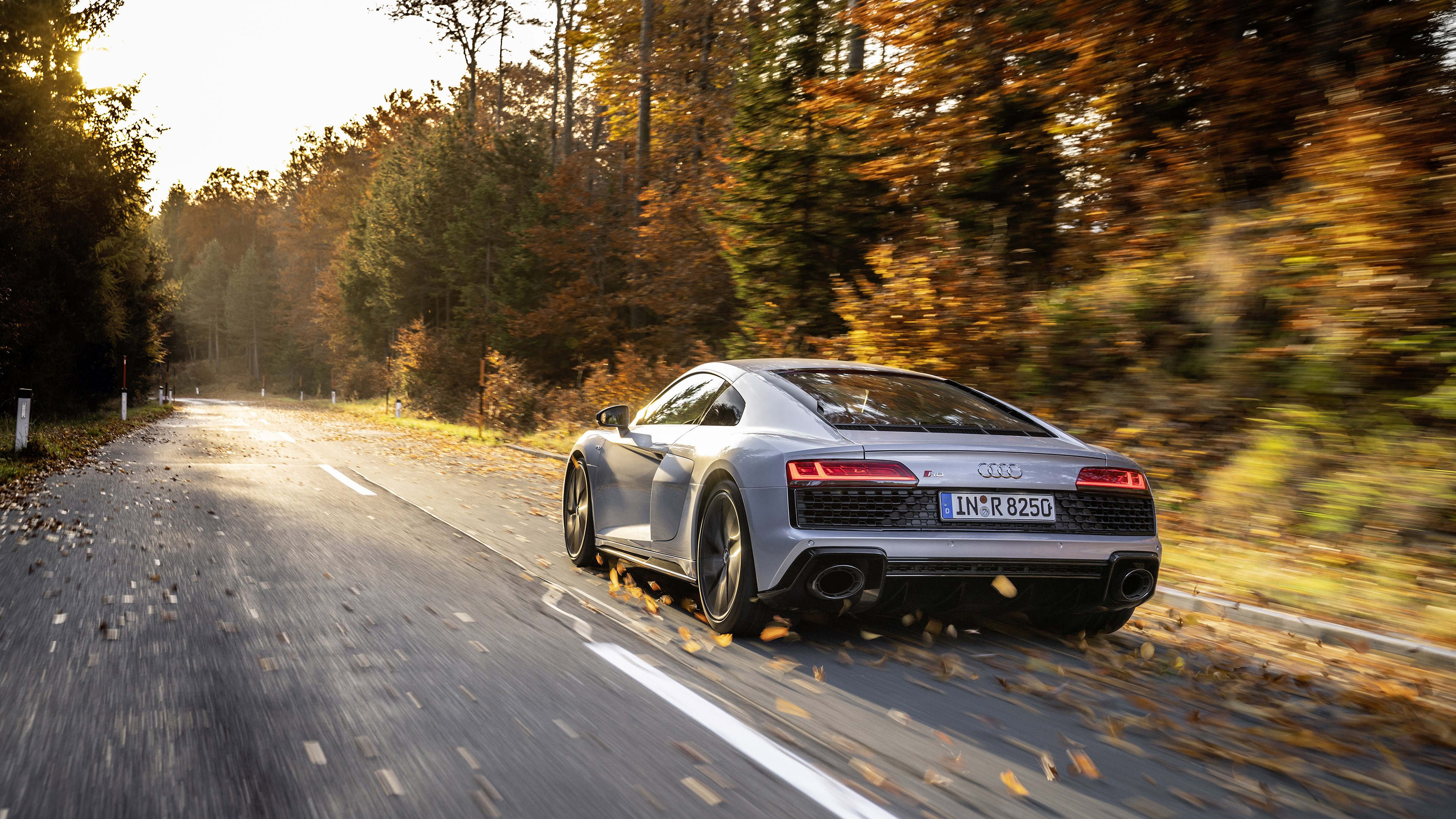 Audi R8 V10 driving on a forest road in autumn HD Wallpaper