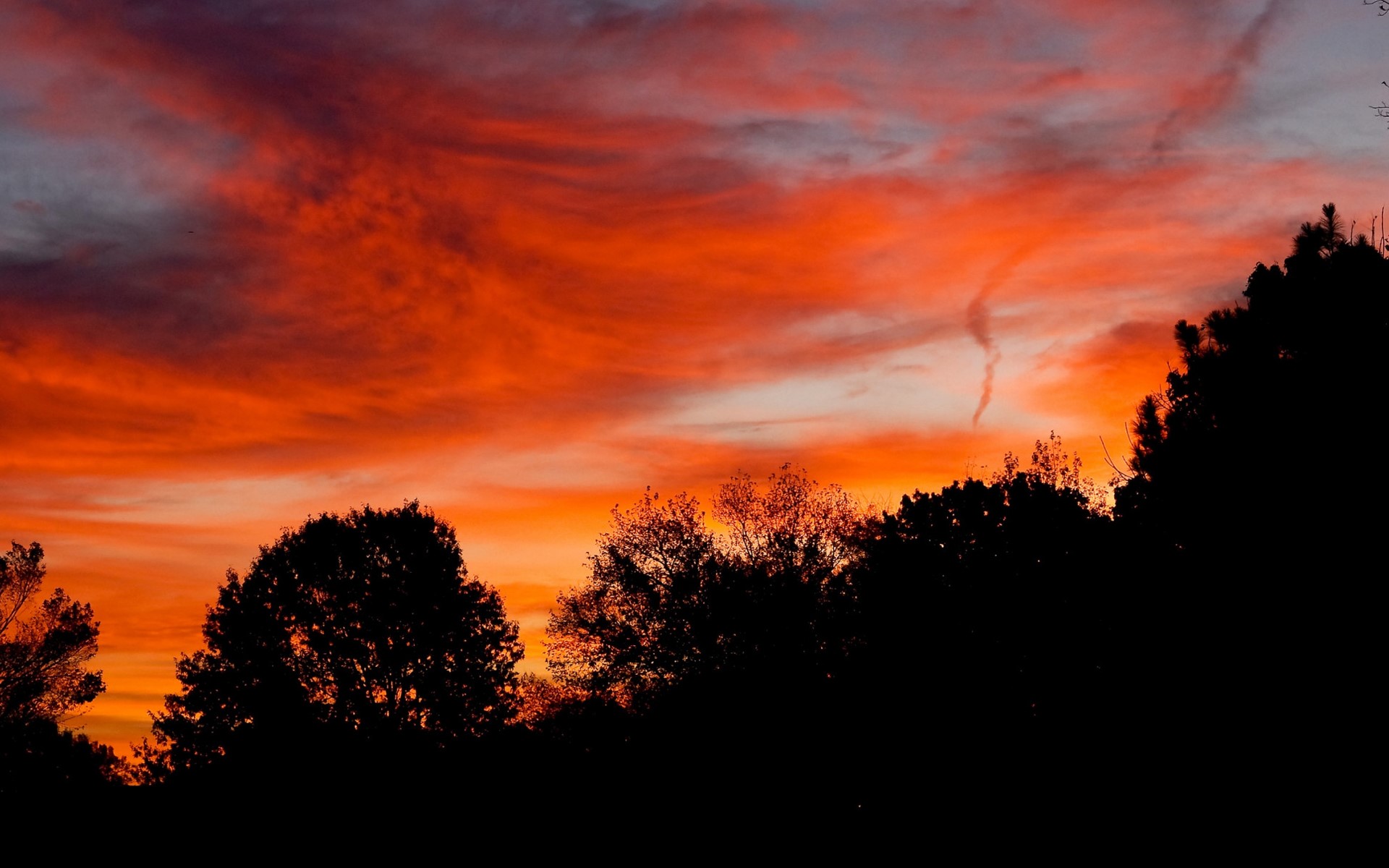 Silhouette of trees against a vibrant sunset sky HD Wallpaper