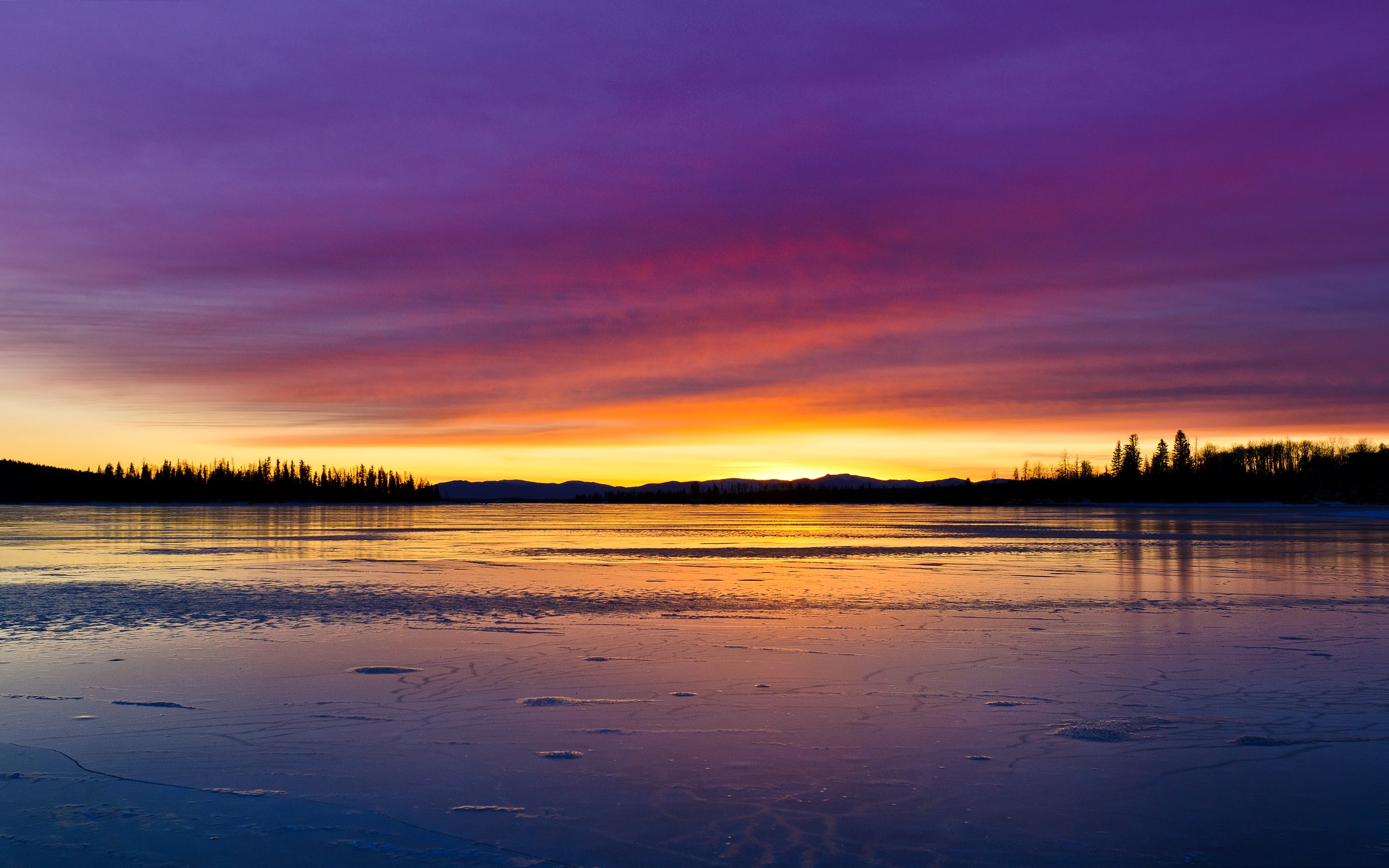 Sunset over a frozen lake with silhouetted trees HD Wallpaper