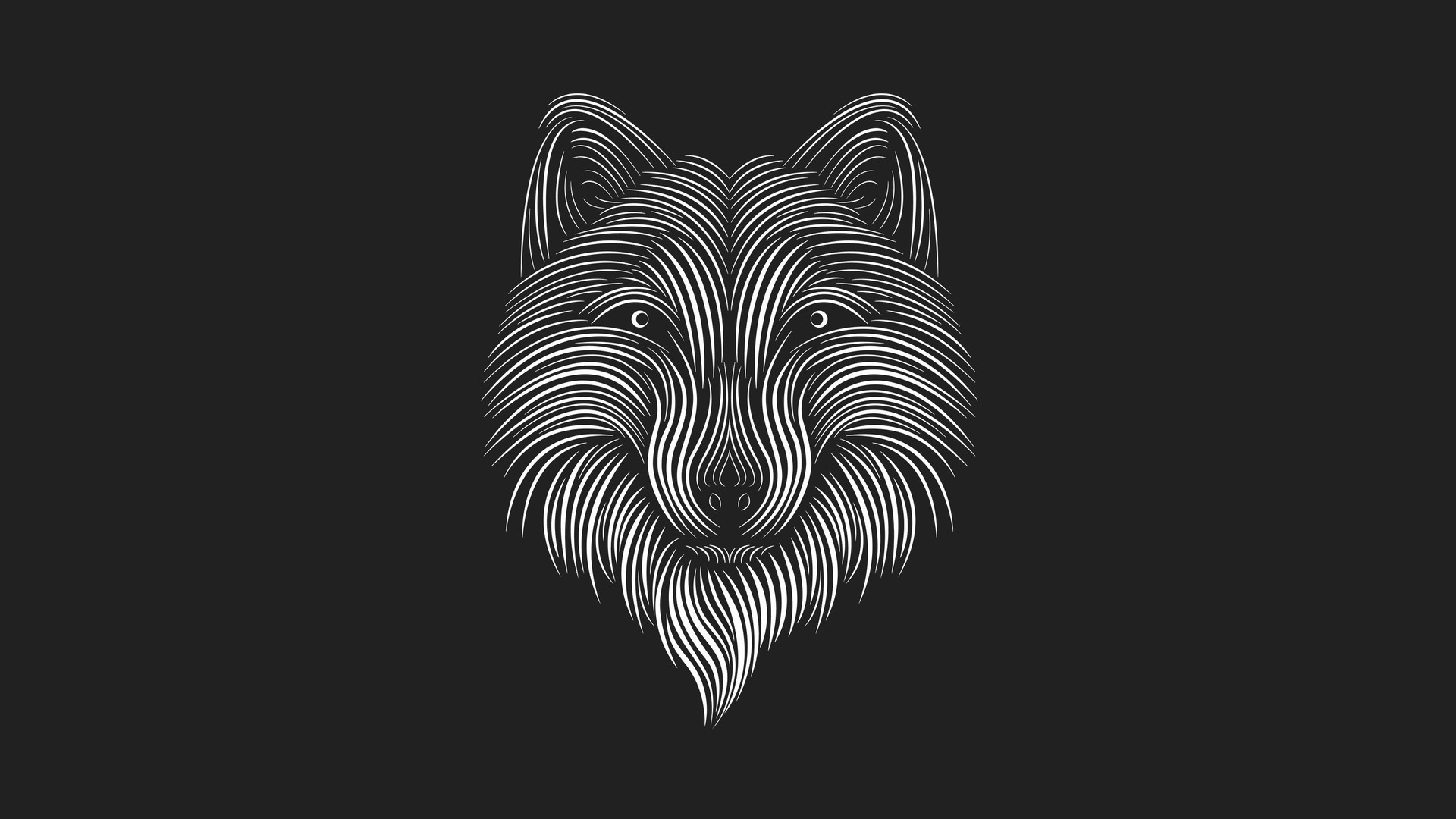 Illustration of a wolf's head with white lines HD Wallpaper