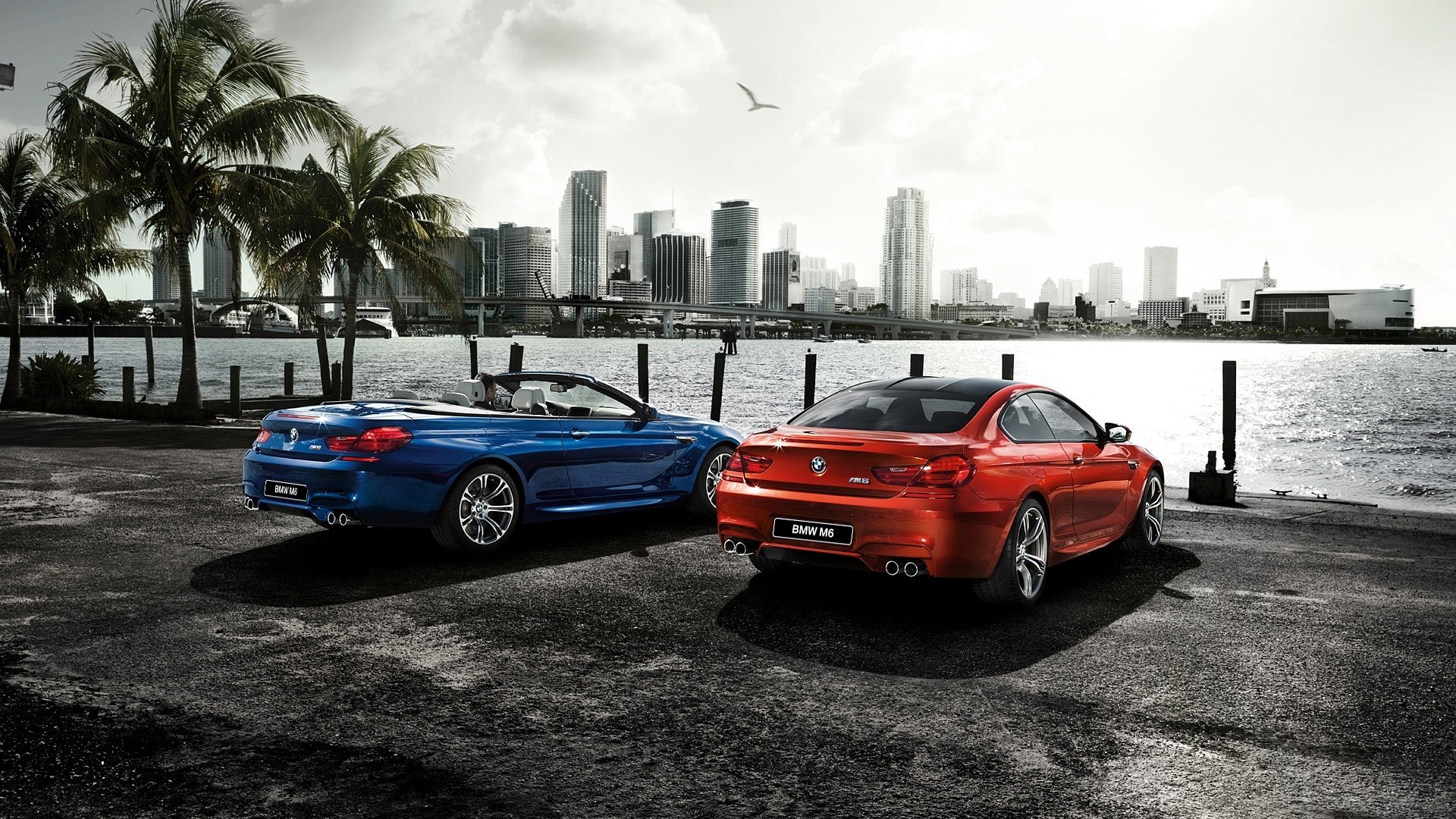 Two BMW M6 cars by the water with a city skyline HD Wallpaper