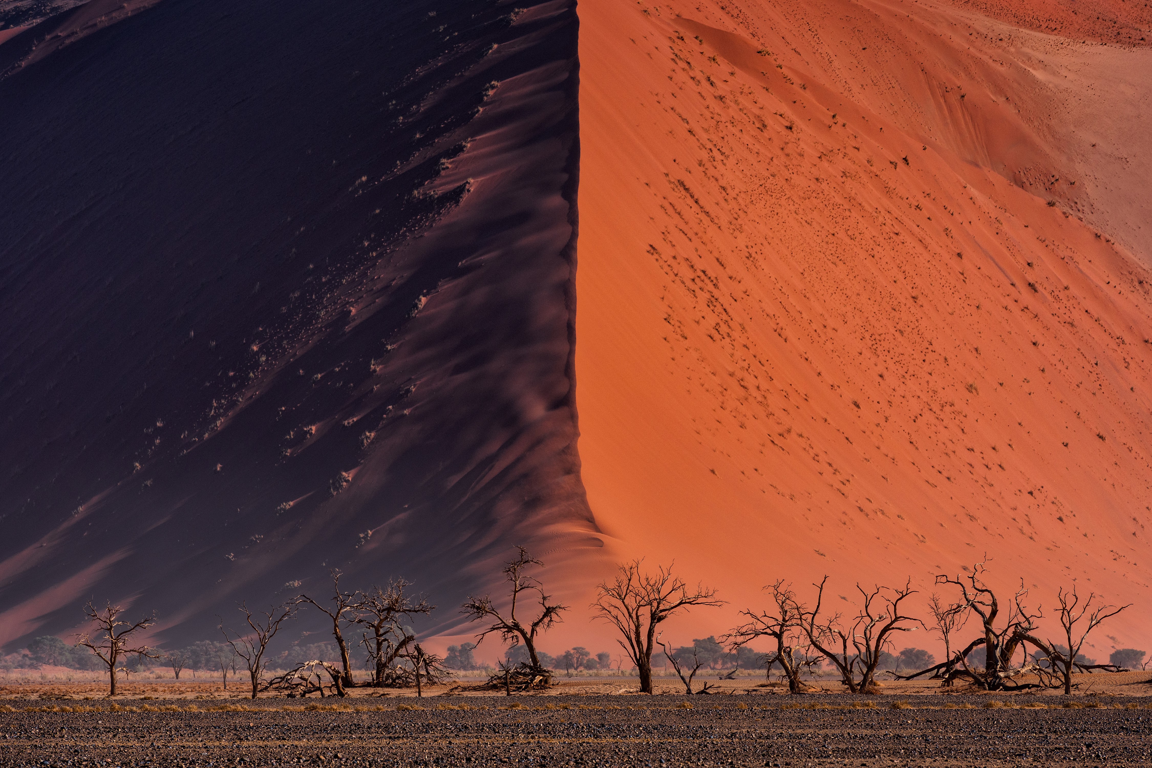 Namib Desert dunes with dead trees HD Wallpaper