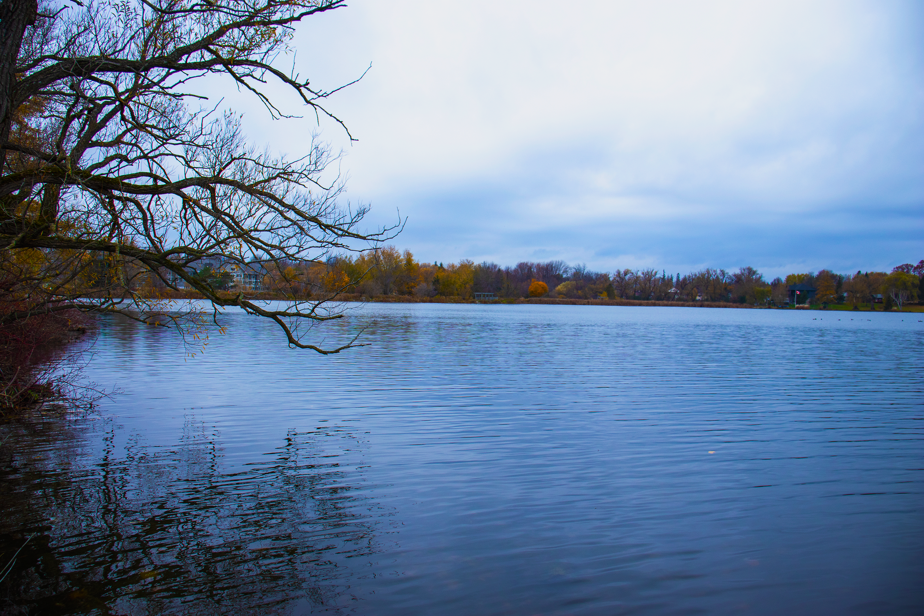 Lake with trees and cloudy sky in Canada HD Wallpaper