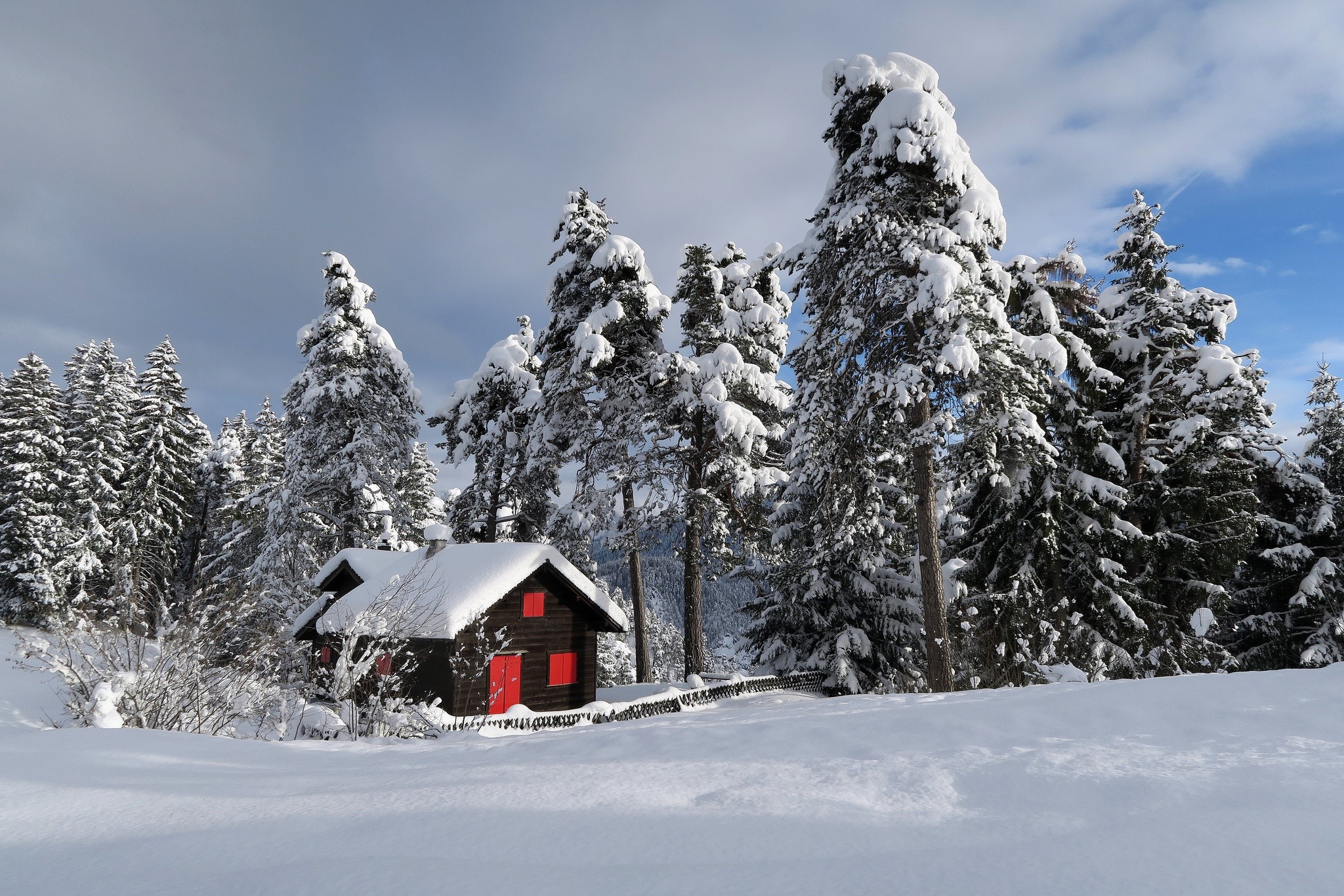 Snow-covered cabin in a winter forest HD Wallpaper