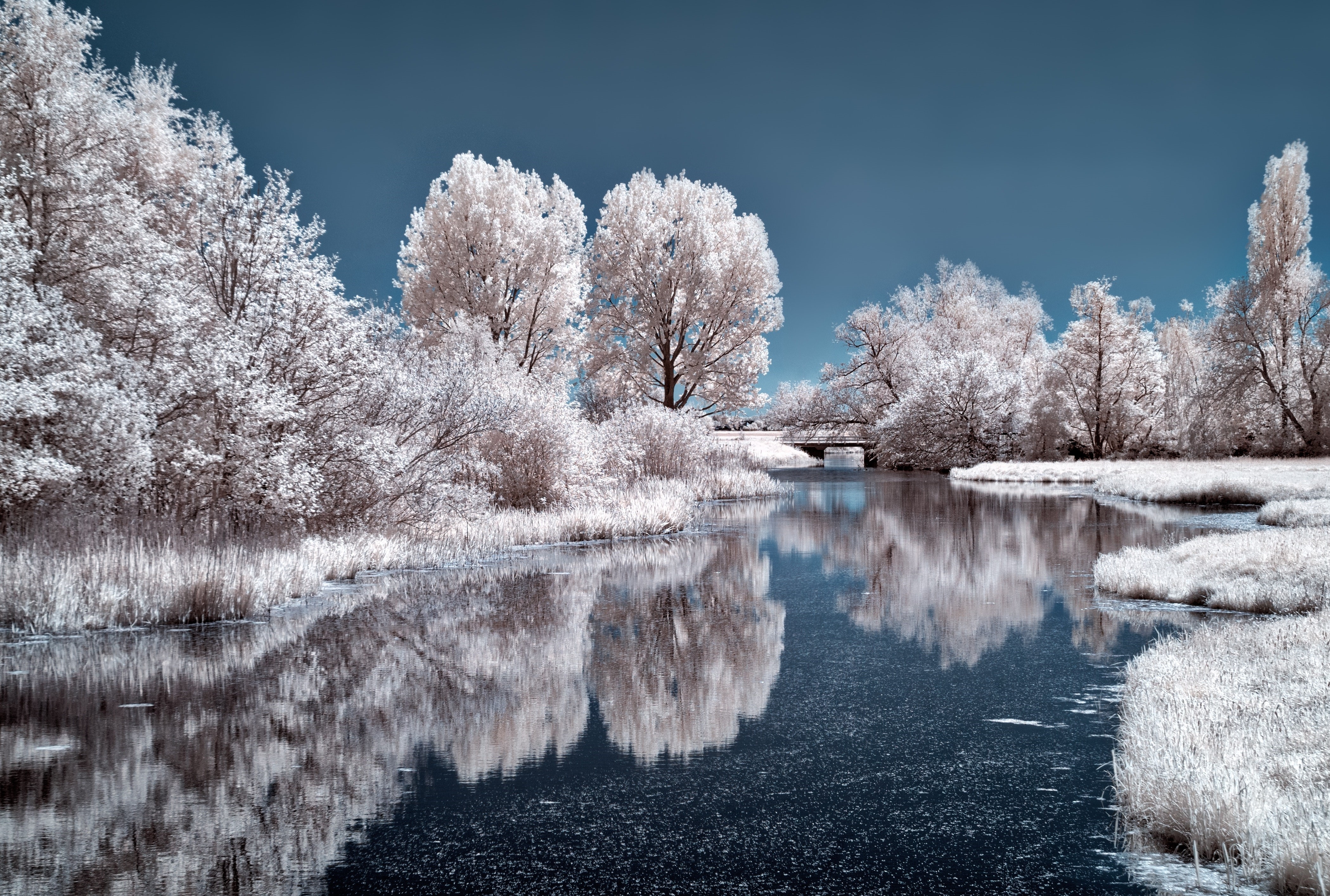 Infrared landscape with trees and river HD Wallpaper
