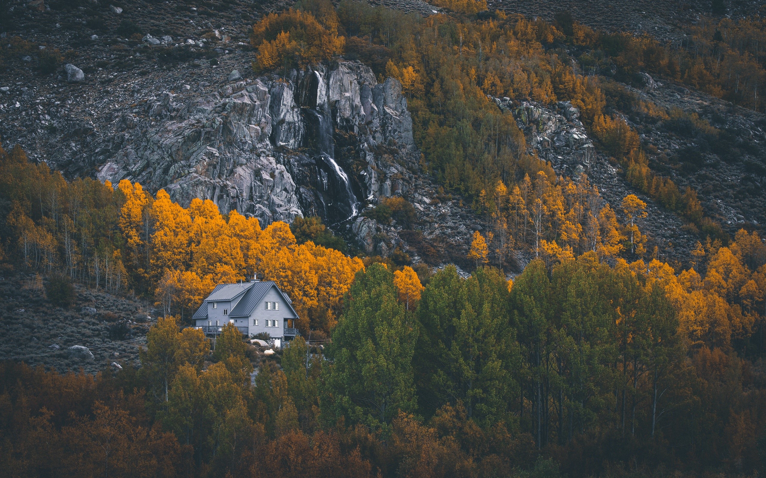 House nestled in autumn trees with waterfall HD Wallpaper