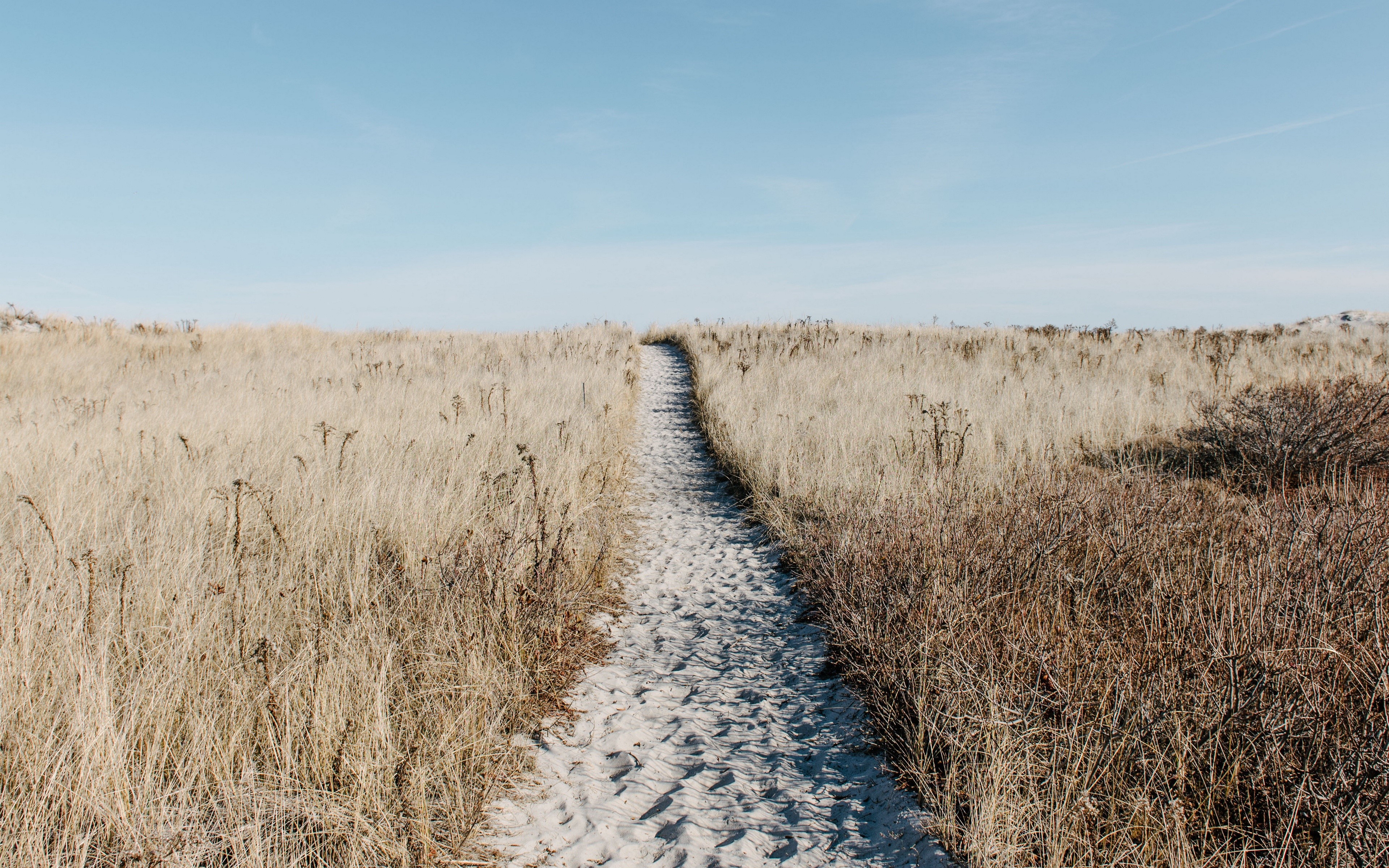 Pathway through dry grass under a clear sky HD Wallpaper