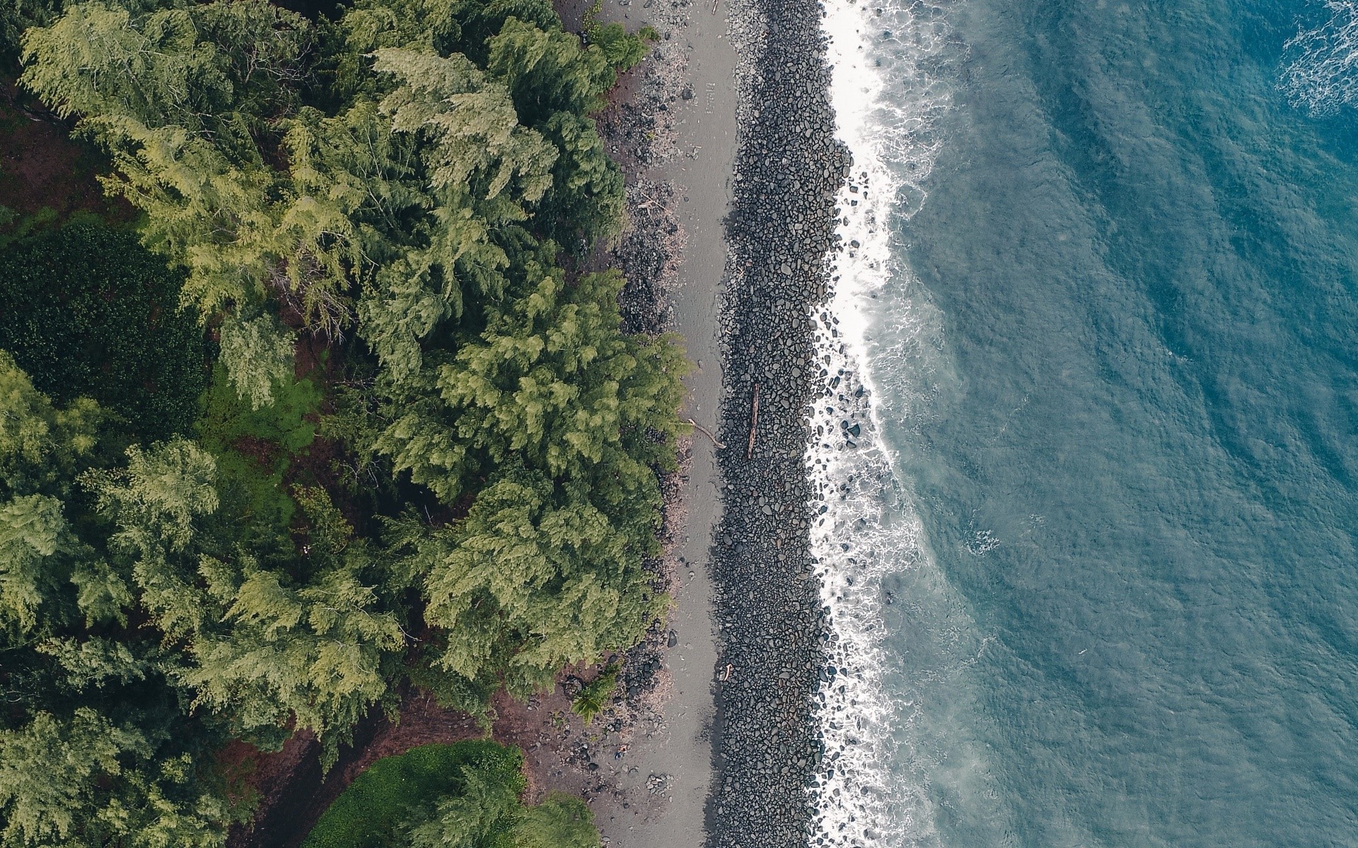 Aerial view of a rocky coast with trees and ocean waves HD Wallpaper