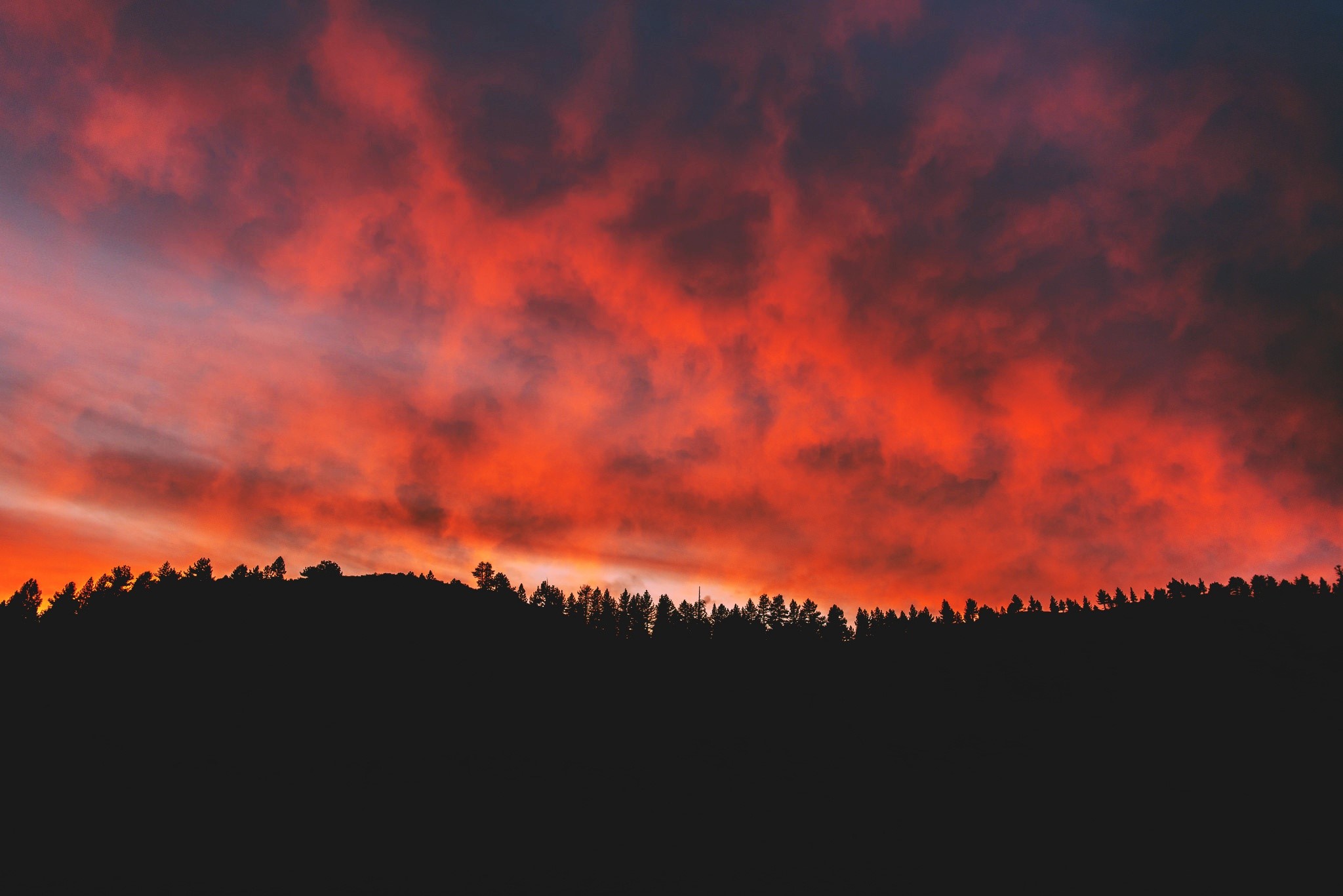 Fiery sunset clouds over a silhouetted forest HD Wallpaper