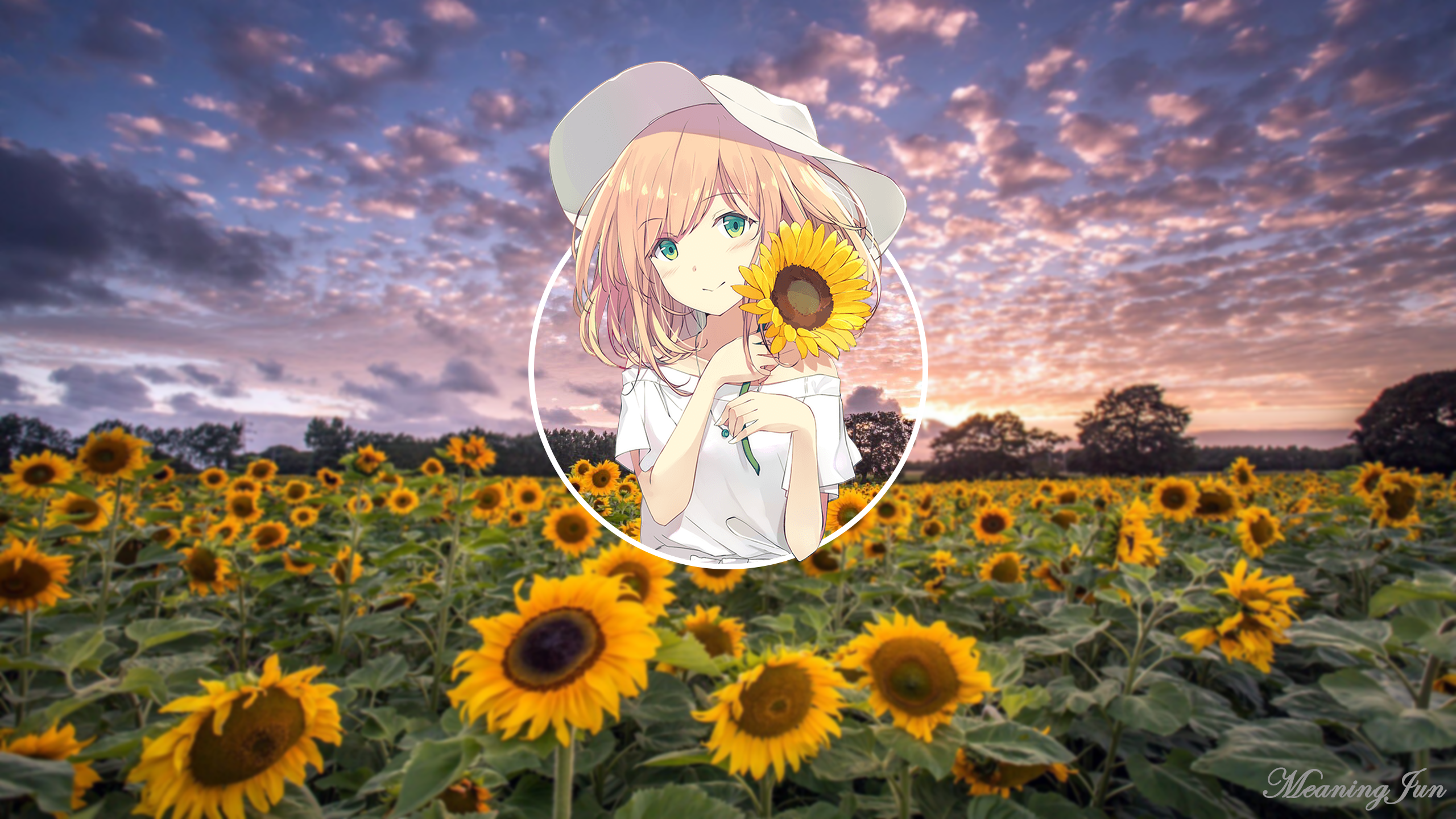Anime girl with sunflower in a field at sunset HD Wallpaper