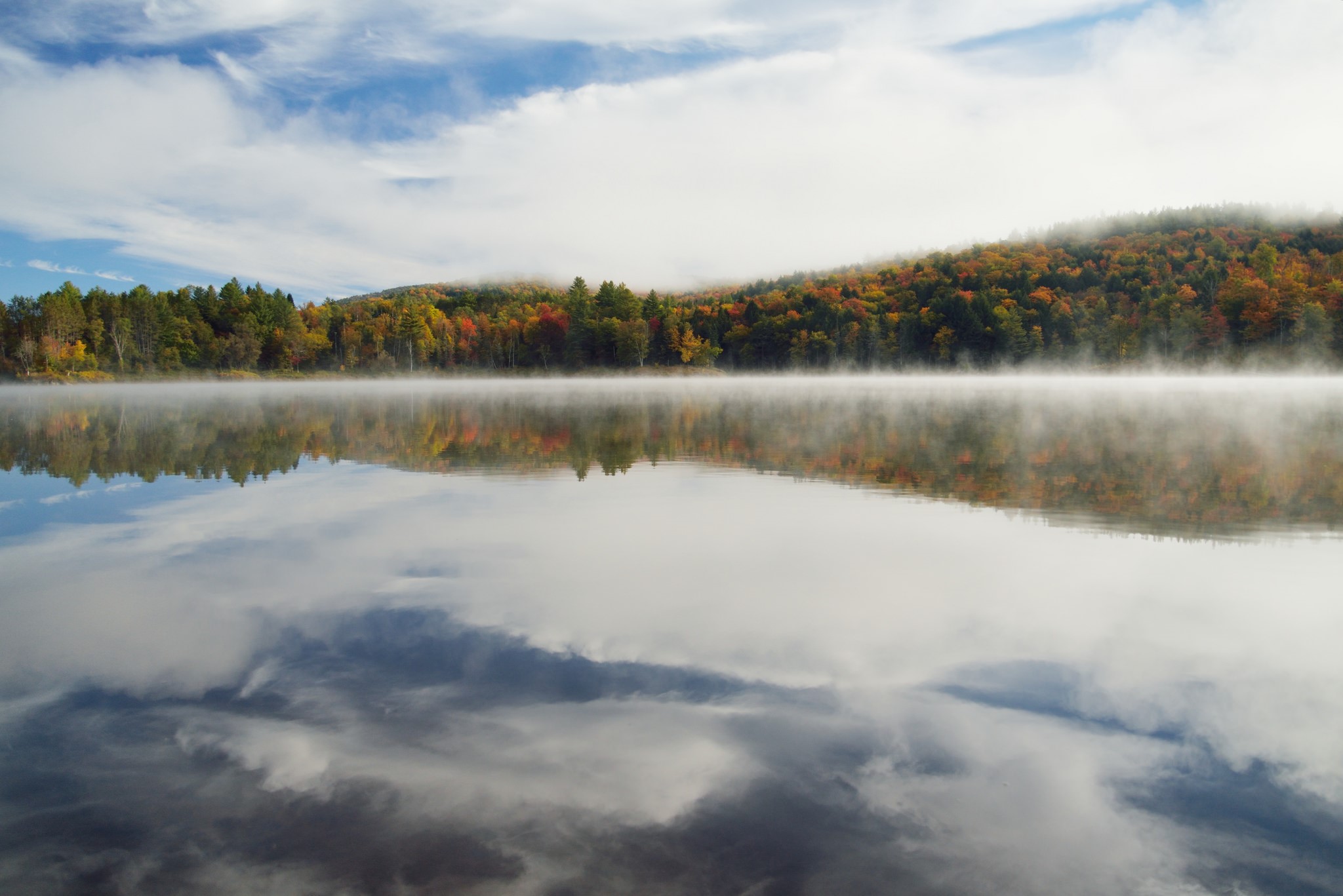 Autumn forest reflected in a misty lake HD Wallpaper