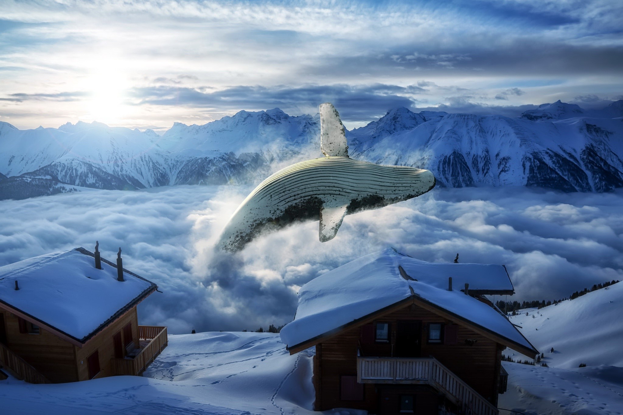 Whale flying over snowy mountains and clouds HD Wallpaper