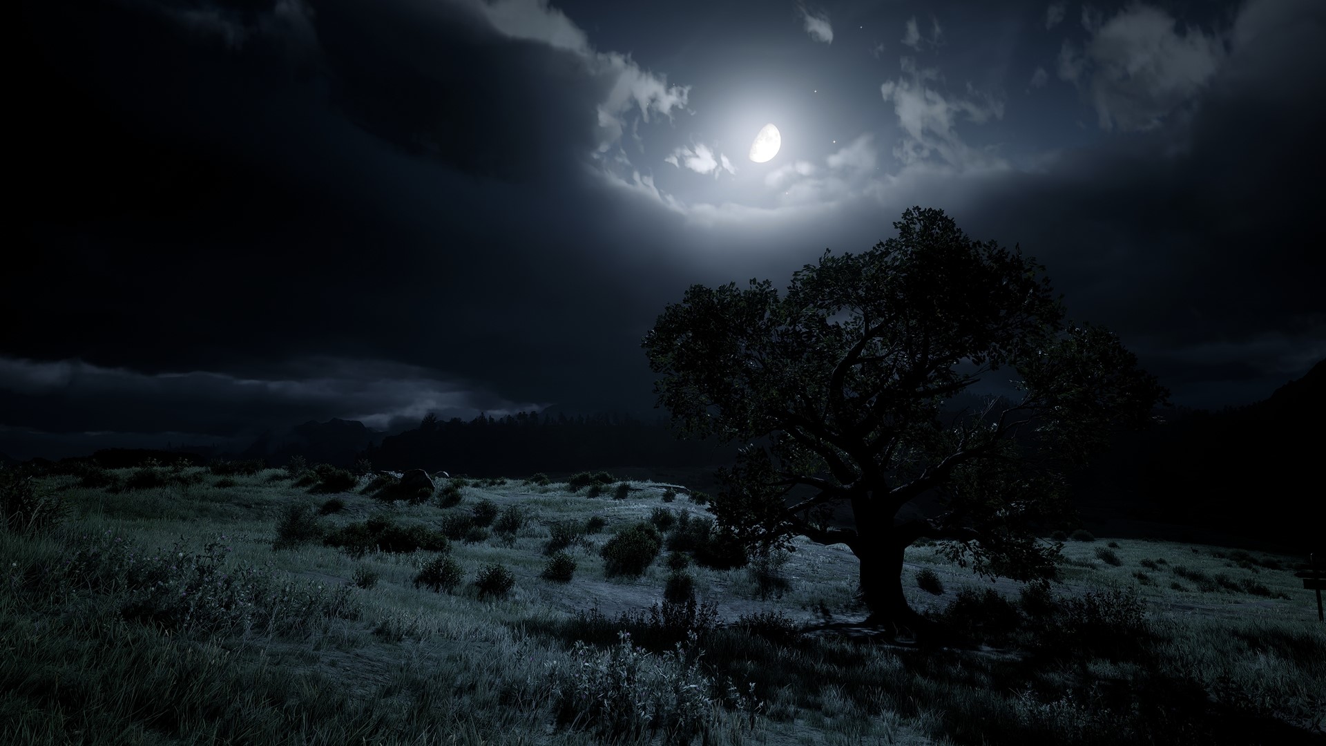Red Dead Redemption 2 night landscape with moon HD Wallpaper